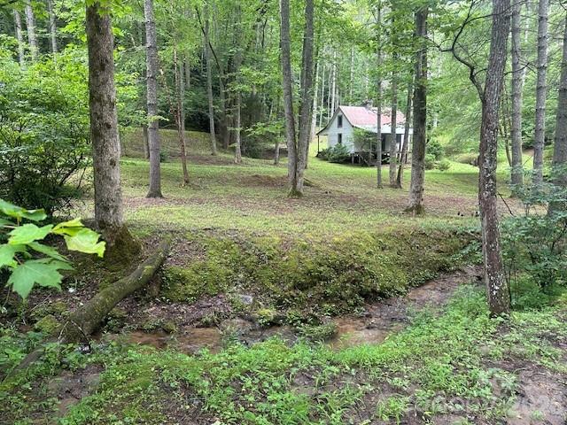 Lot at 0 Mountain Forest Estates Road, Sylva, photo 4 of 26