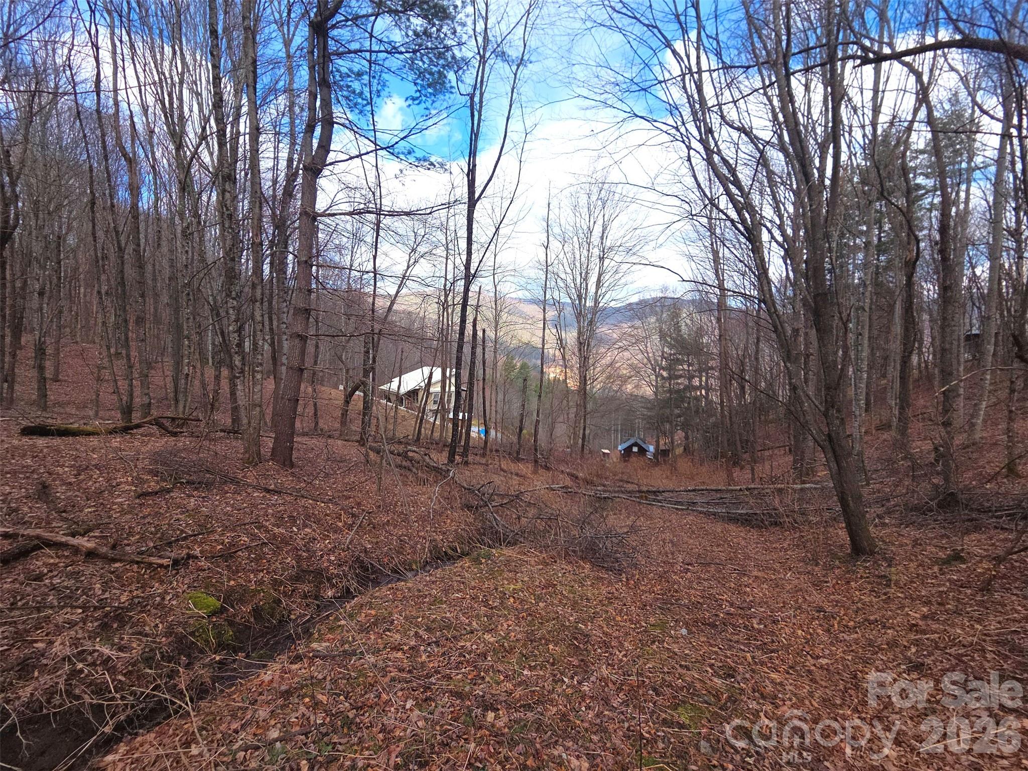 Lot at 250 Rome Beauty Road, Waynesville, photo 2 of 23