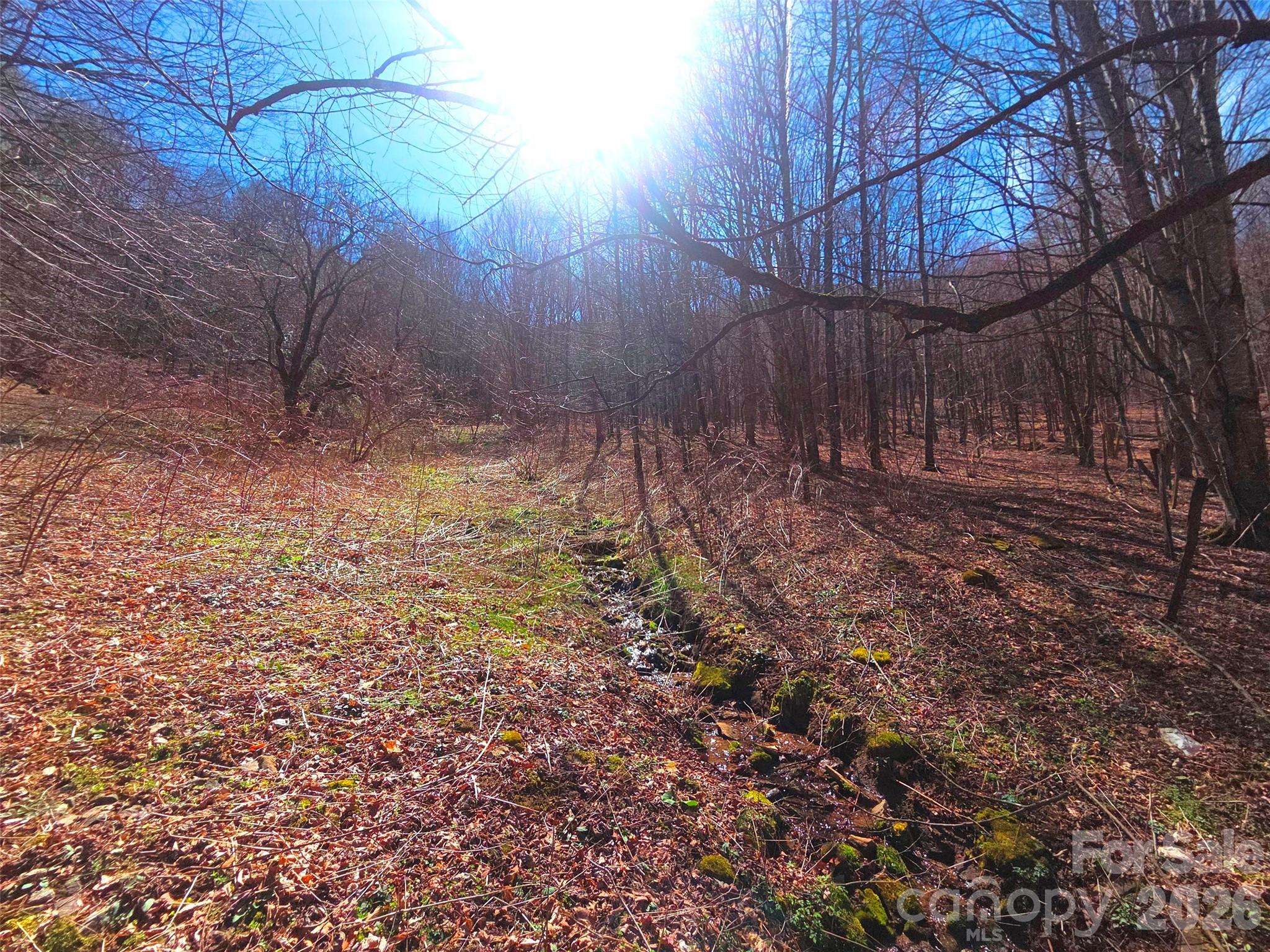 Lot at 250 Rome Beauty Road, Waynesville, photo 4 of 23