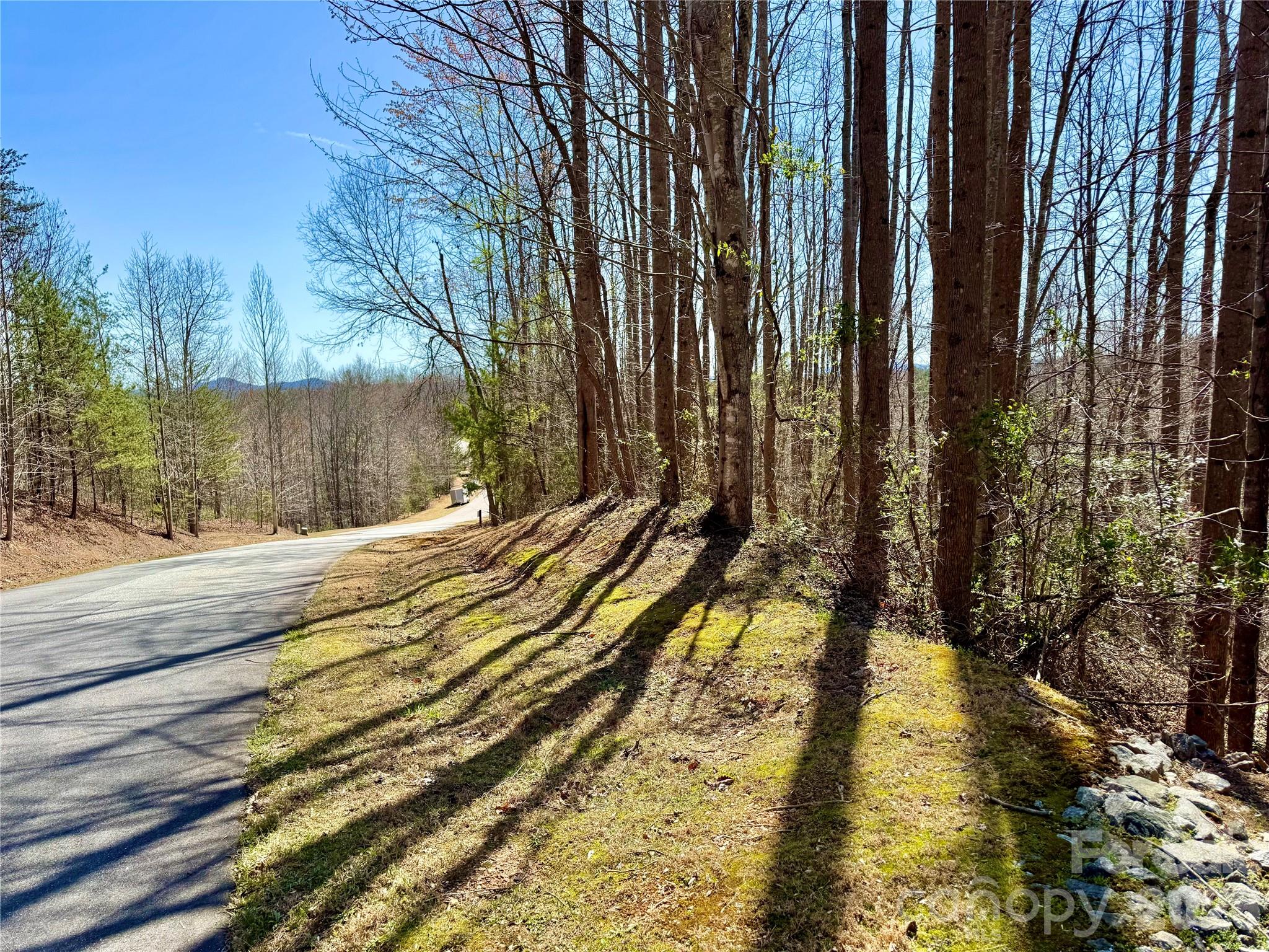 Lot 42, Round Mountain Parkway