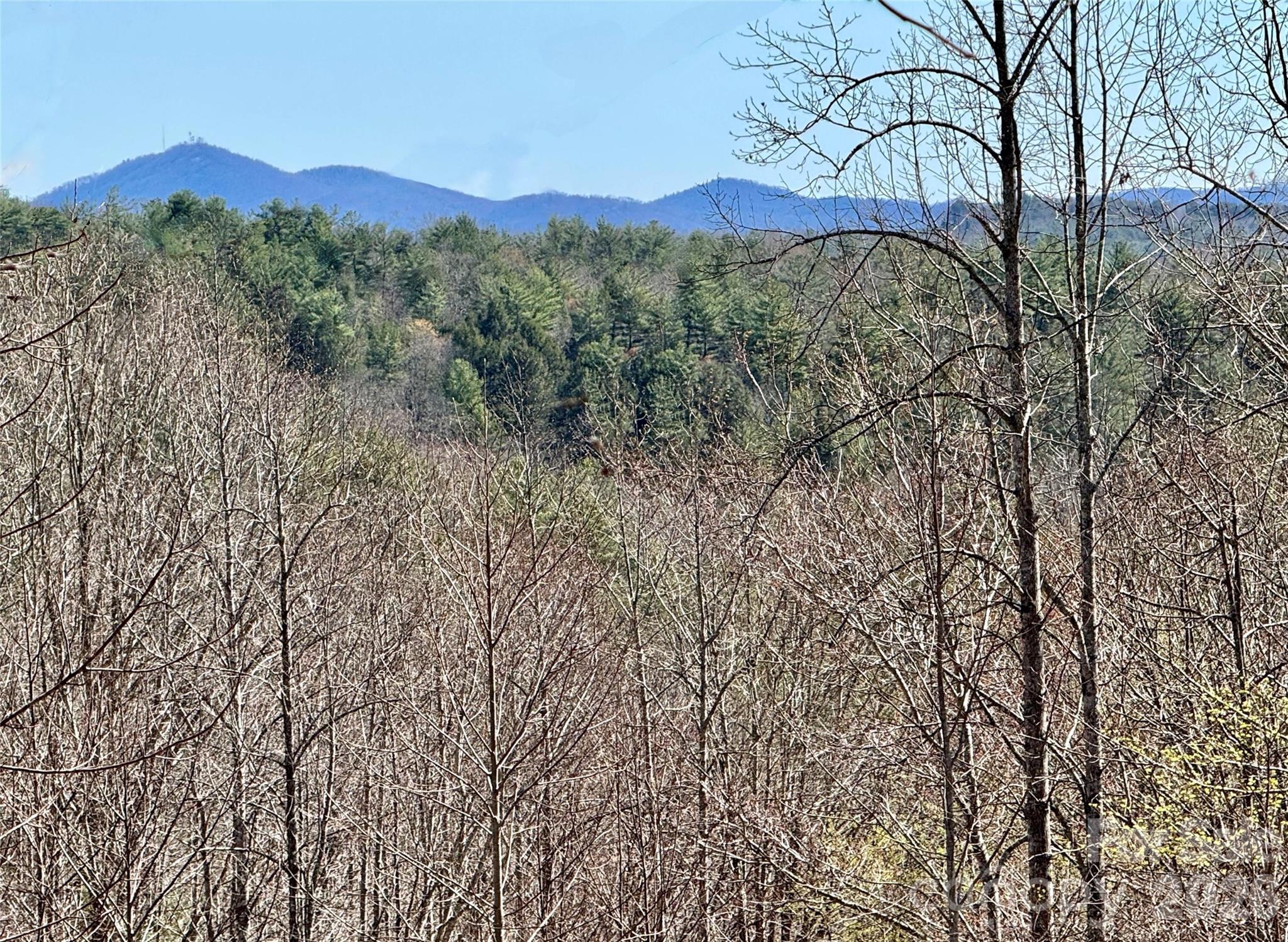 Lot at Lot 42, Round Mountain Parkway, Lenoir, photo 2 of 38