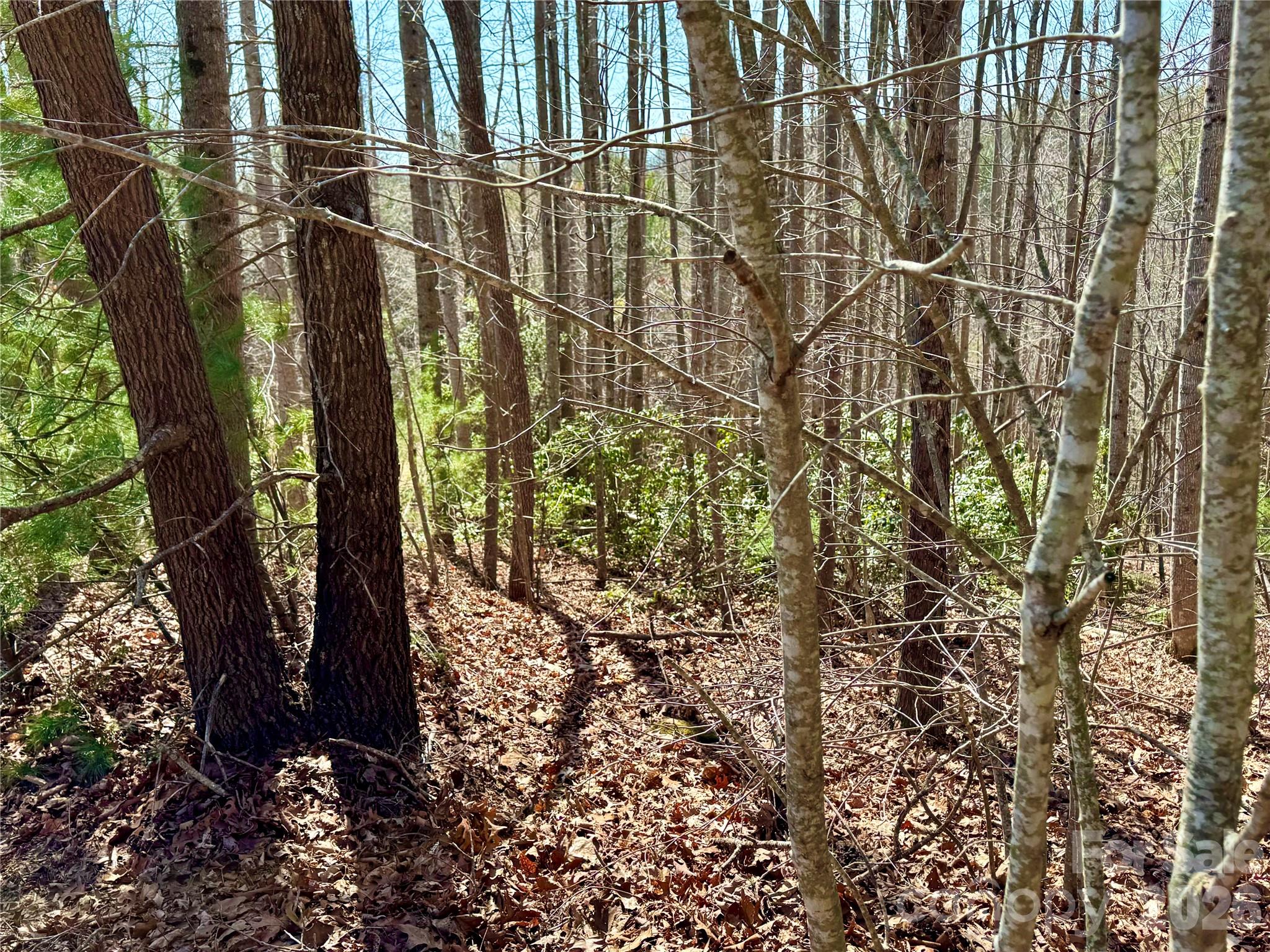 Lot at Lot 42, Round Mountain Parkway, Lenoir, photo 3 of 38
