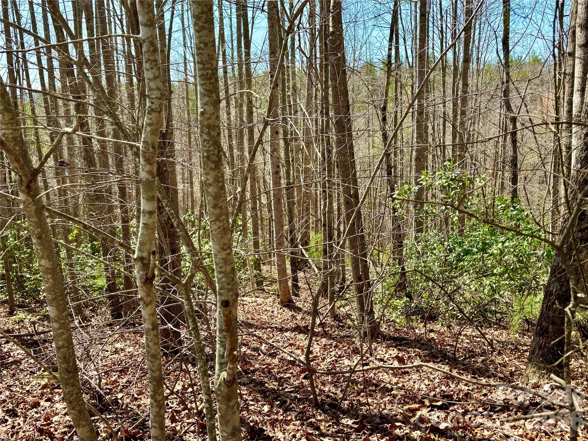 Lot at Lot 42, Round Mountain Parkway, Lenoir, photo 4 of 38