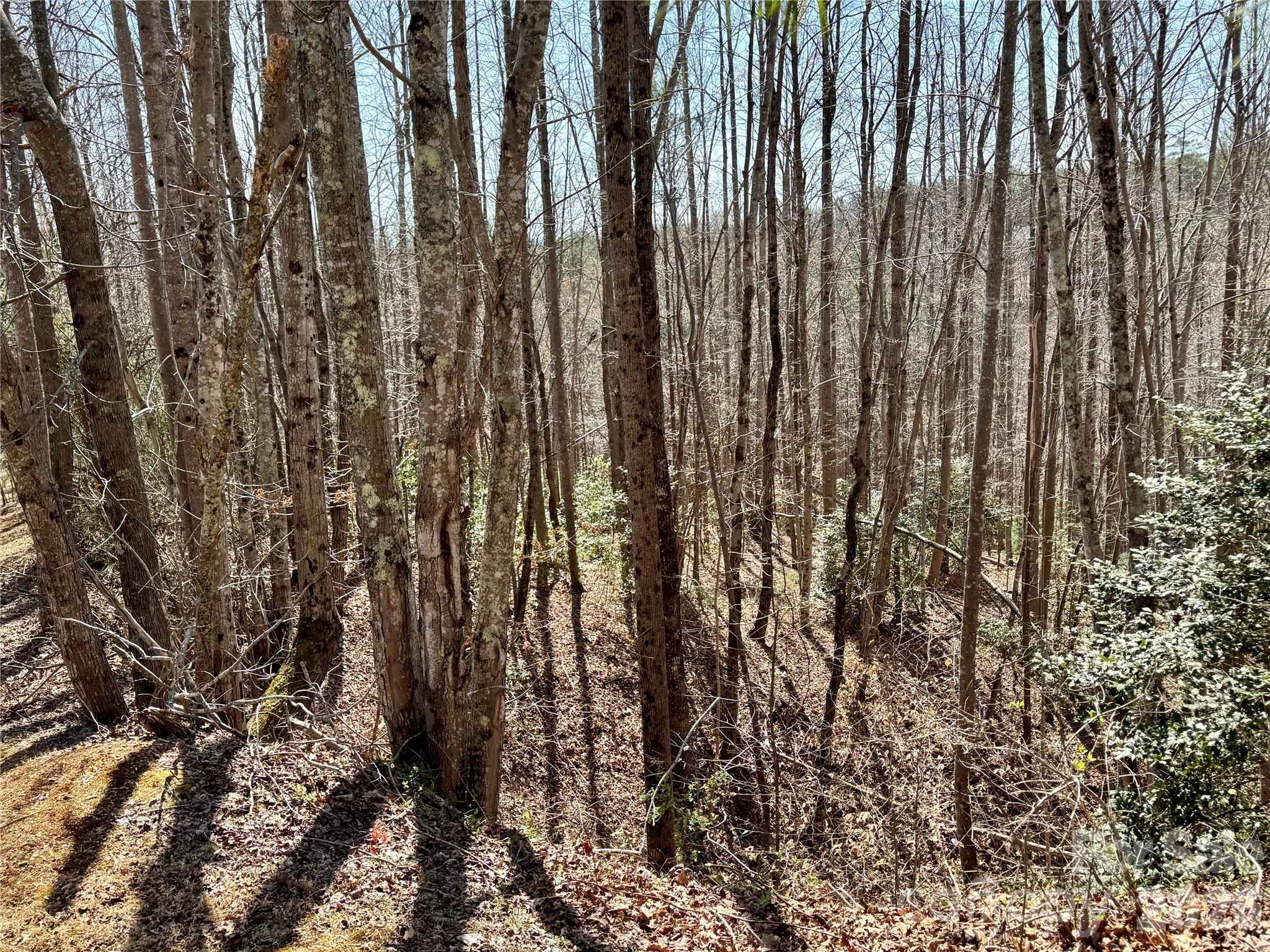 Lot at Lot 42, Round Mountain Parkway, Lenoir, photo 5 of 38