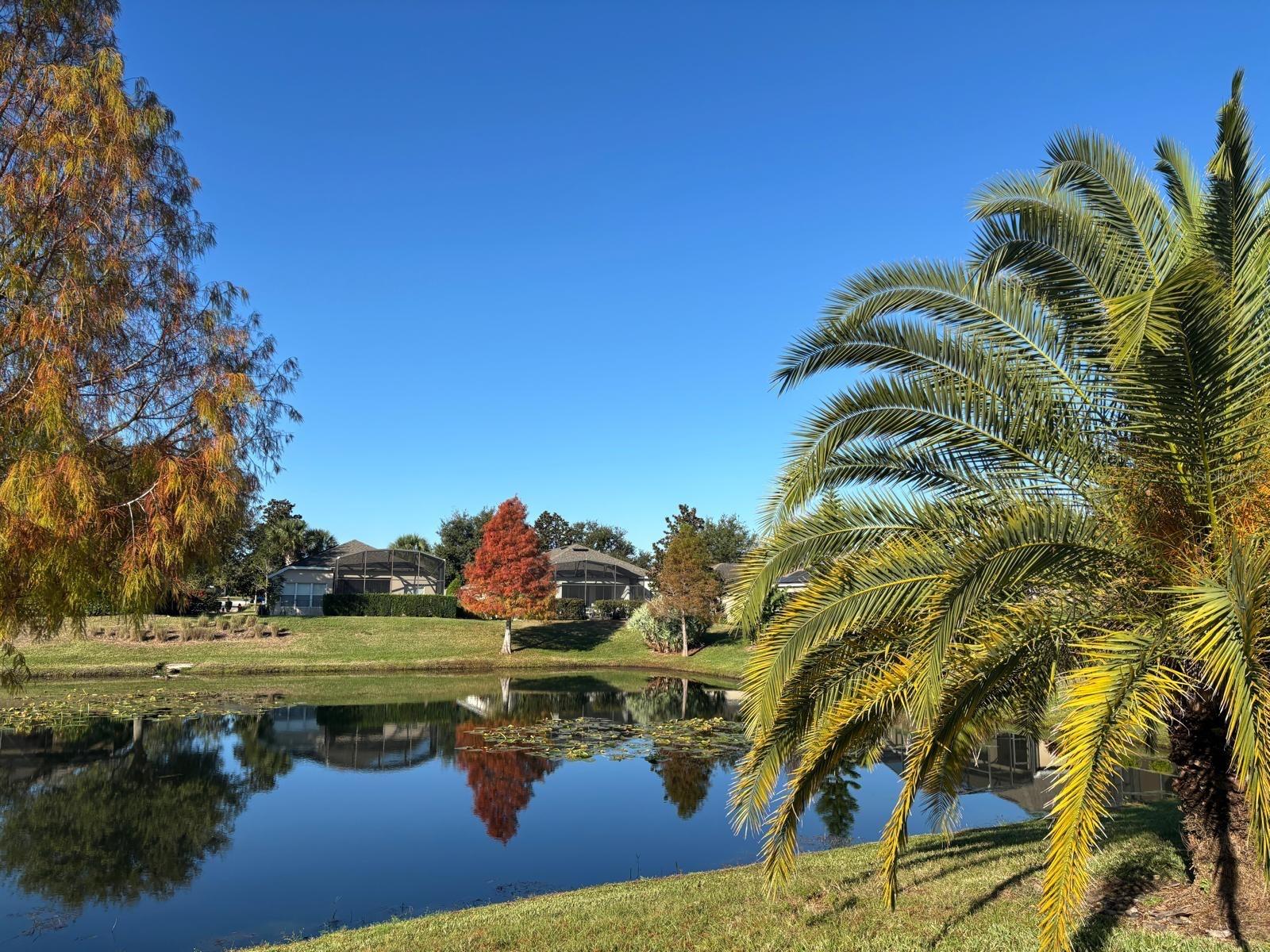 Single Family Residence at 715 ASTURIAS RD, DAVENPORT, photo 81 of 90