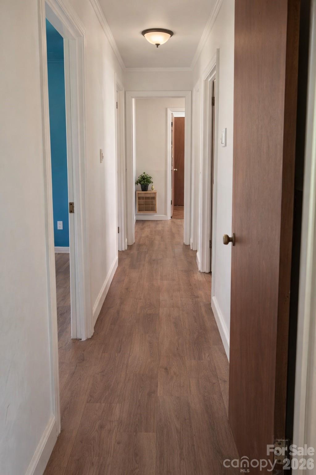 Virtually Staged Hallway - 205 Jewel Street, Chester