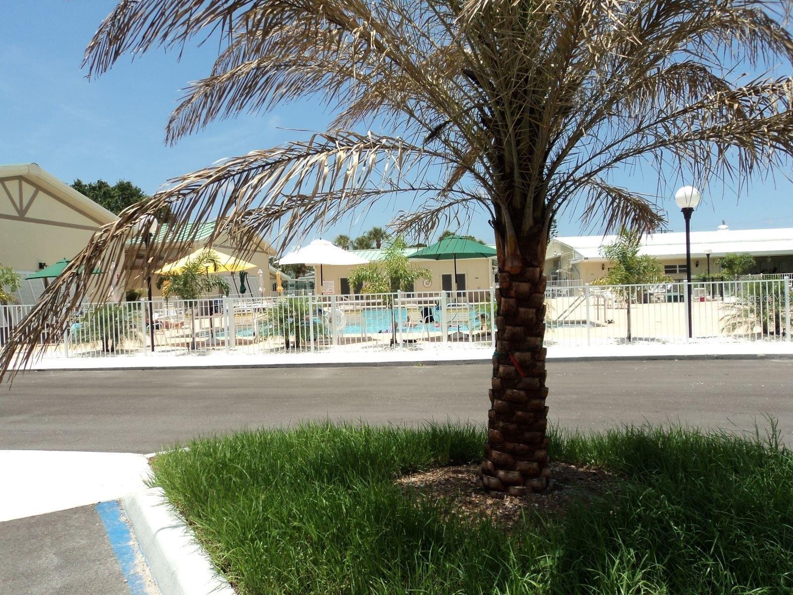 Mobile Home at 816 TURF, VENICE, photo 17 of 22