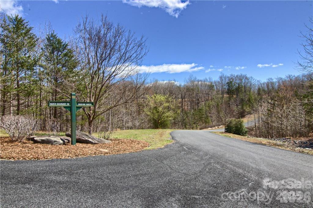 Acreage at 00 N Boundary Road, Mill Spring, photo 3 of 27