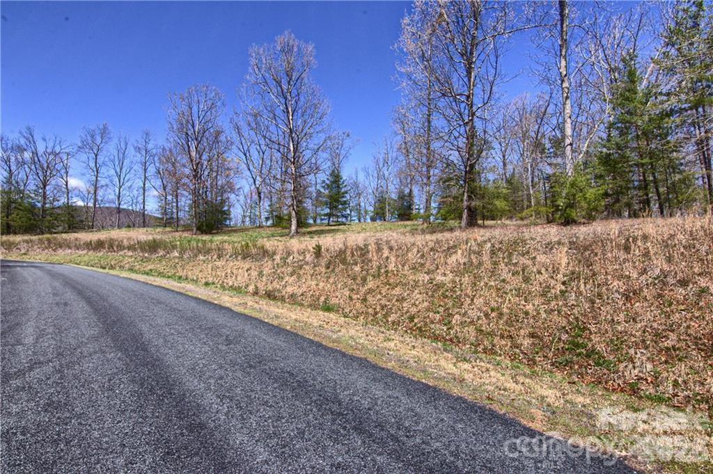 Acreage at 00 N Boundary Road, Mill Spring, photo 17 of 27