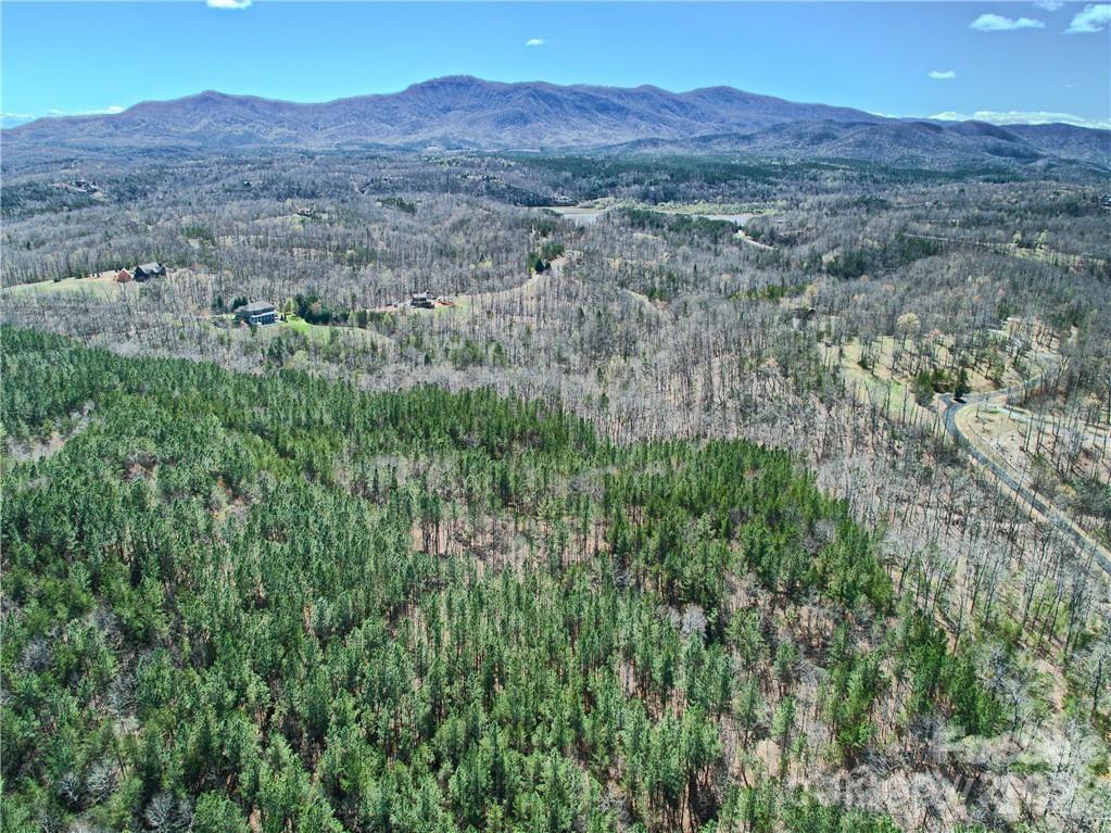 Acreage at 00 N Boundary Road, Mill Spring, photo 25 of 27