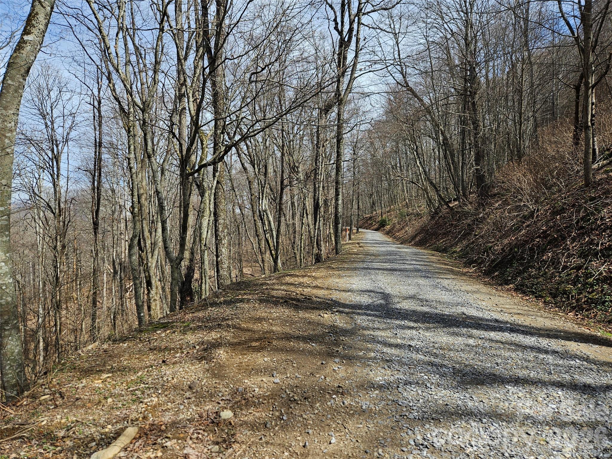 Lot at 000 Forbidden Cove, Waynesville, photo 4 of 17