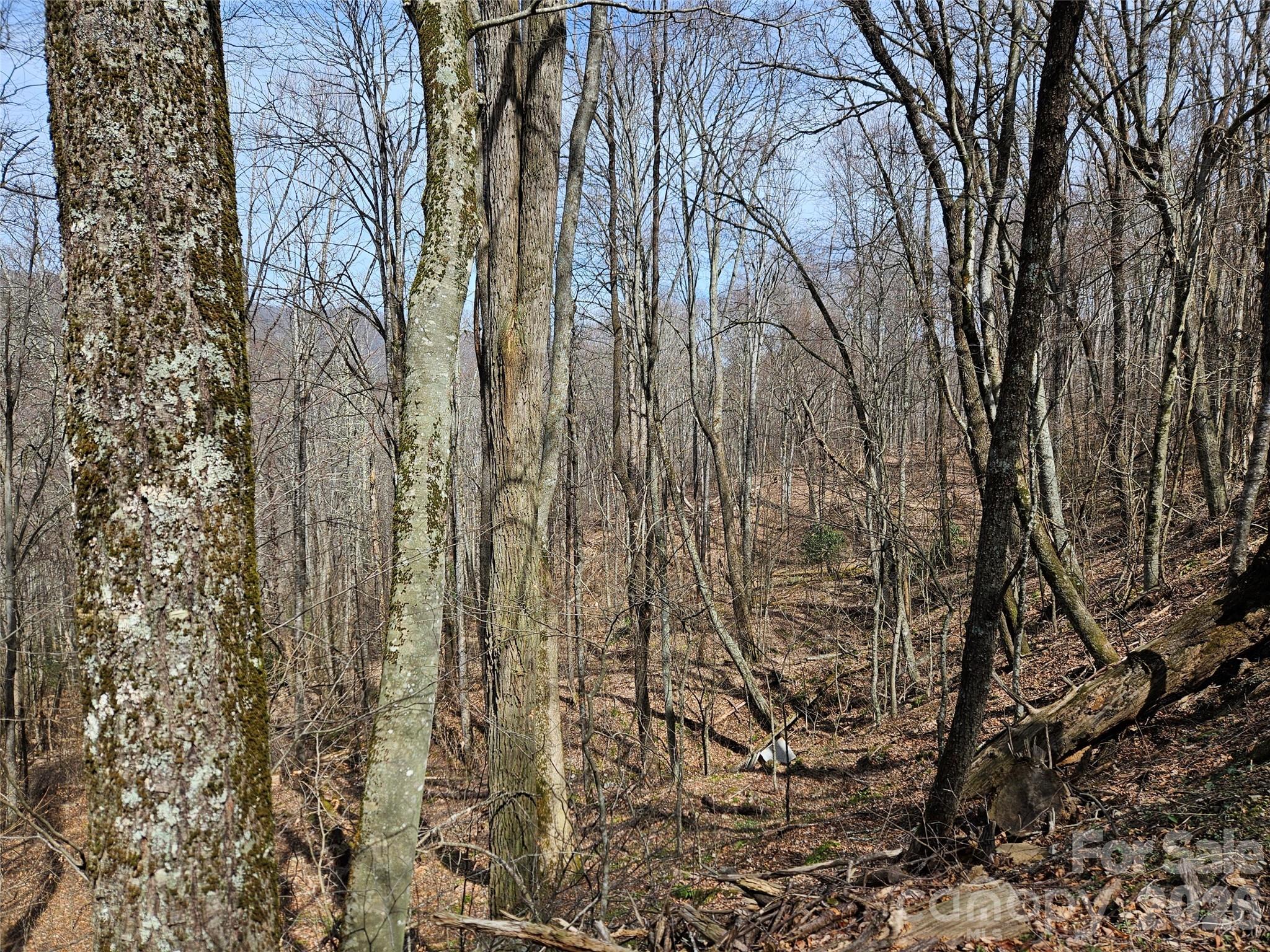Lot at 000 Forbidden Cove, Waynesville, photo 5 of 17