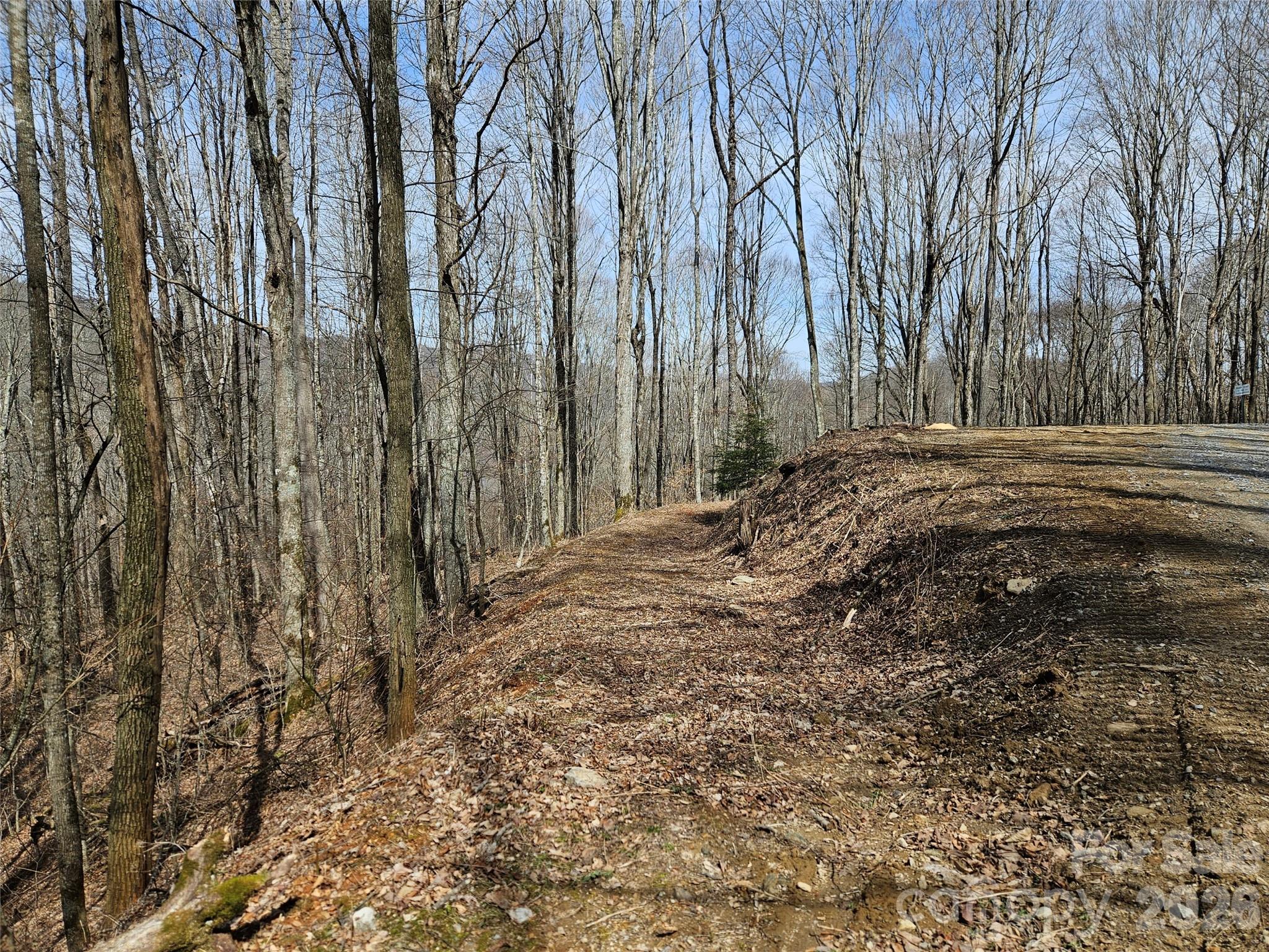 Lot at 000 Forbidden Cove, Waynesville, photo 6 of 17