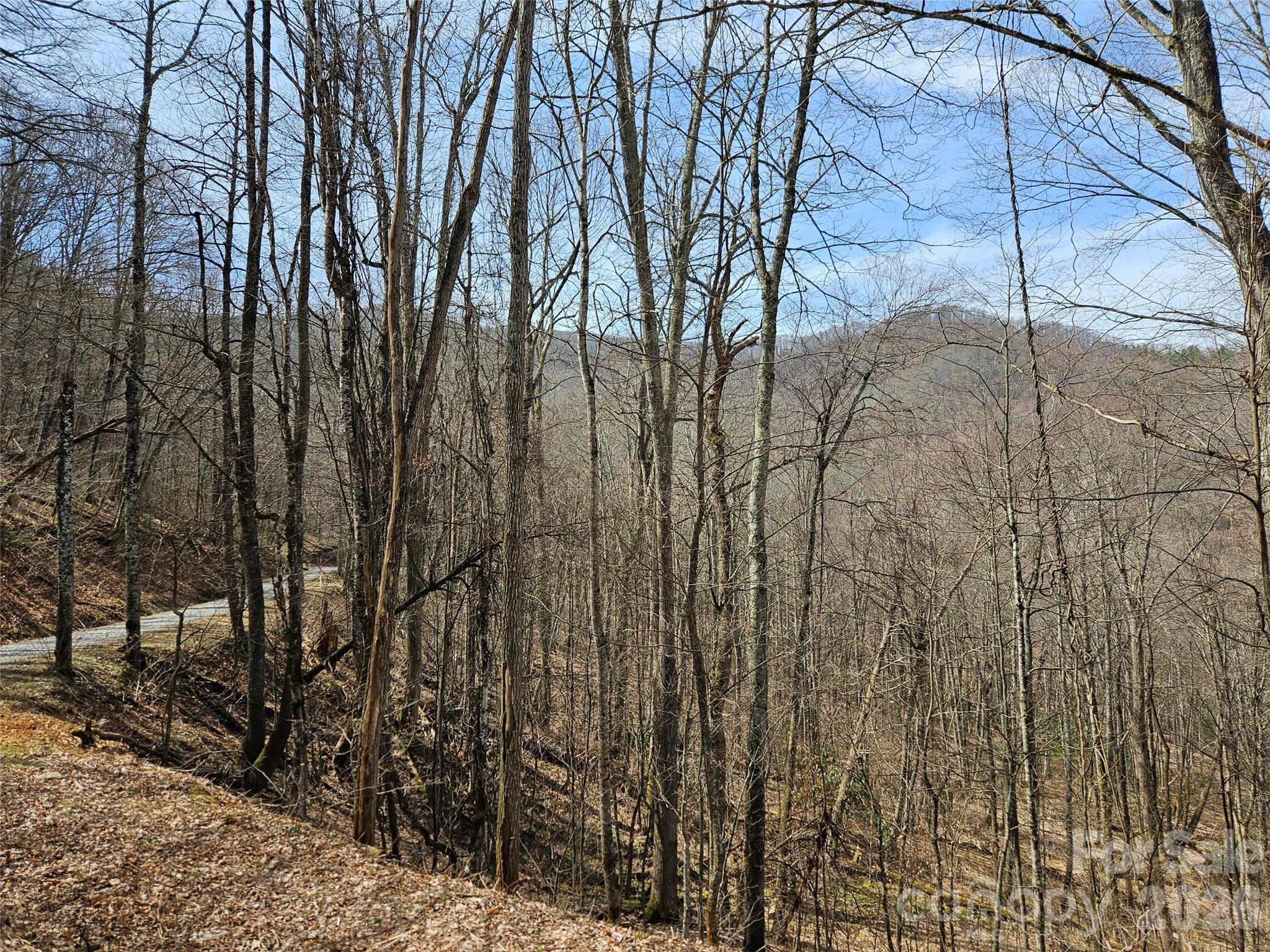 Lot at 000 Forbidden Cove, Waynesville, photo 7 of 17