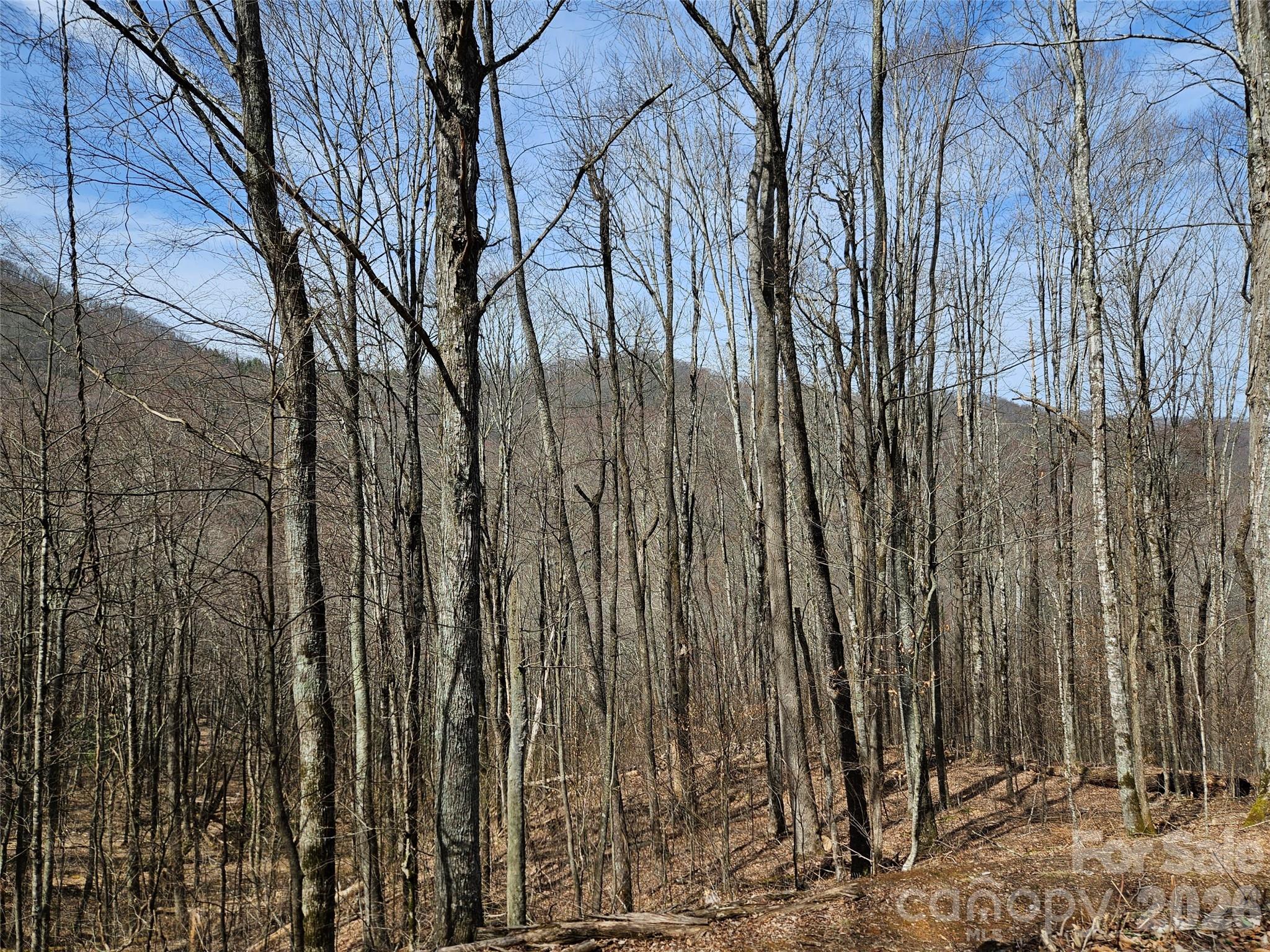 Lot at 000 Forbidden Cove, Waynesville, photo 8 of 17