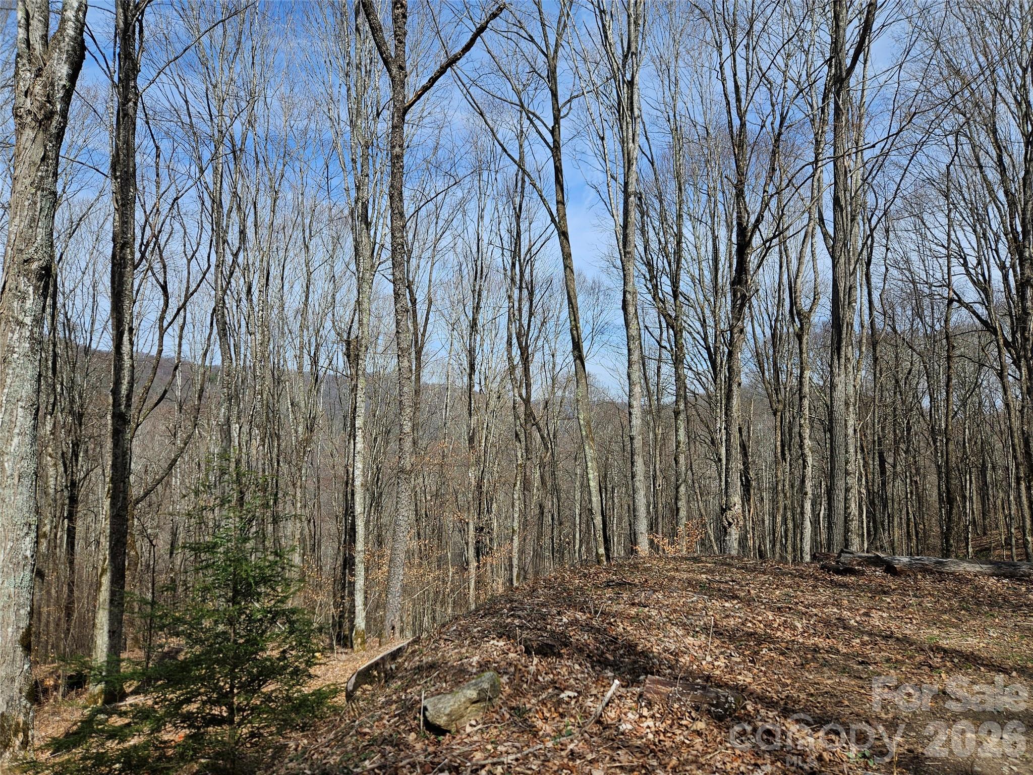 Lot at 000 Forbidden Cove, Waynesville, photo 9 of 17