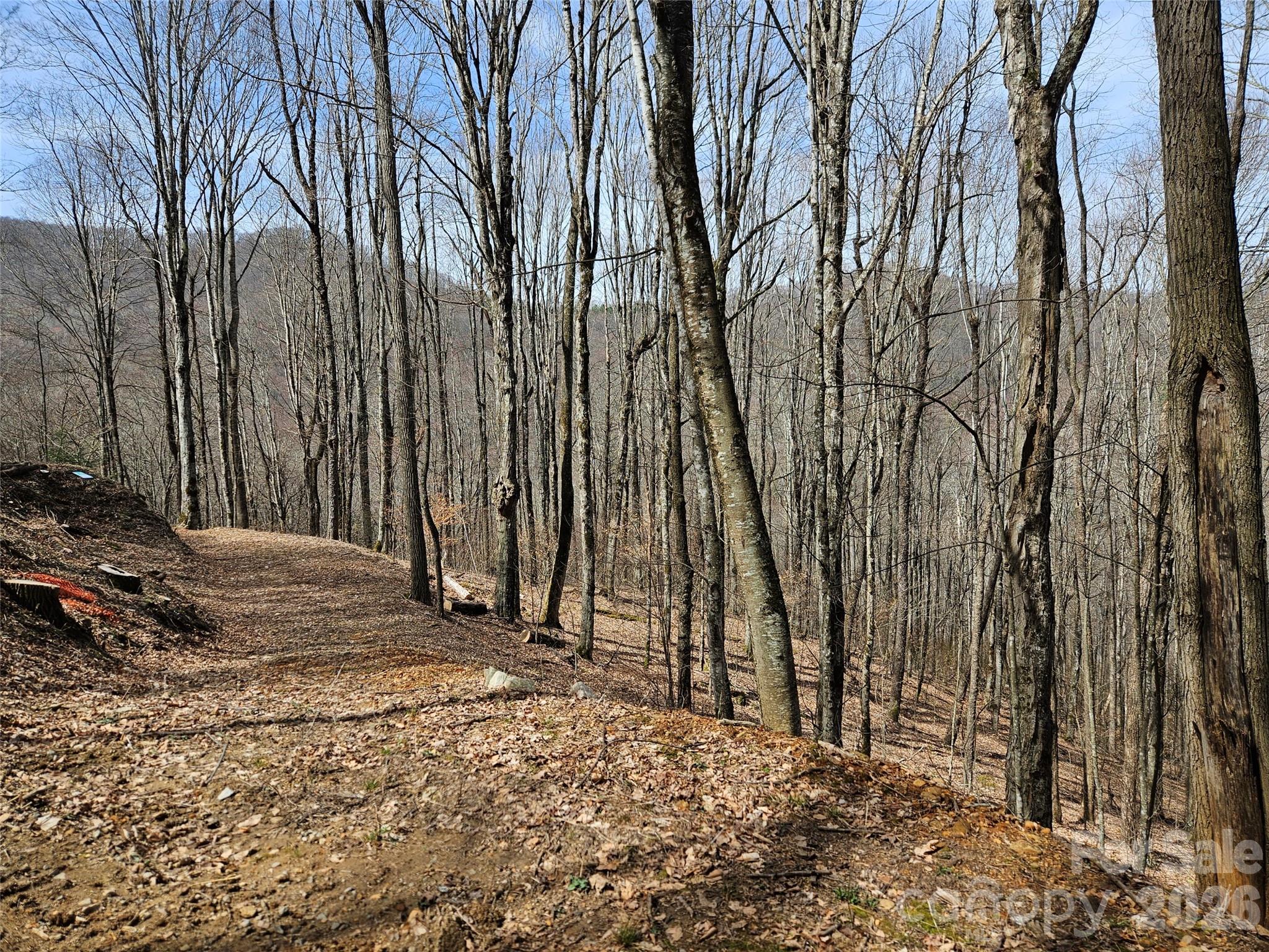 Lot at 000 Forbidden Cove, Waynesville, photo 10 of 17