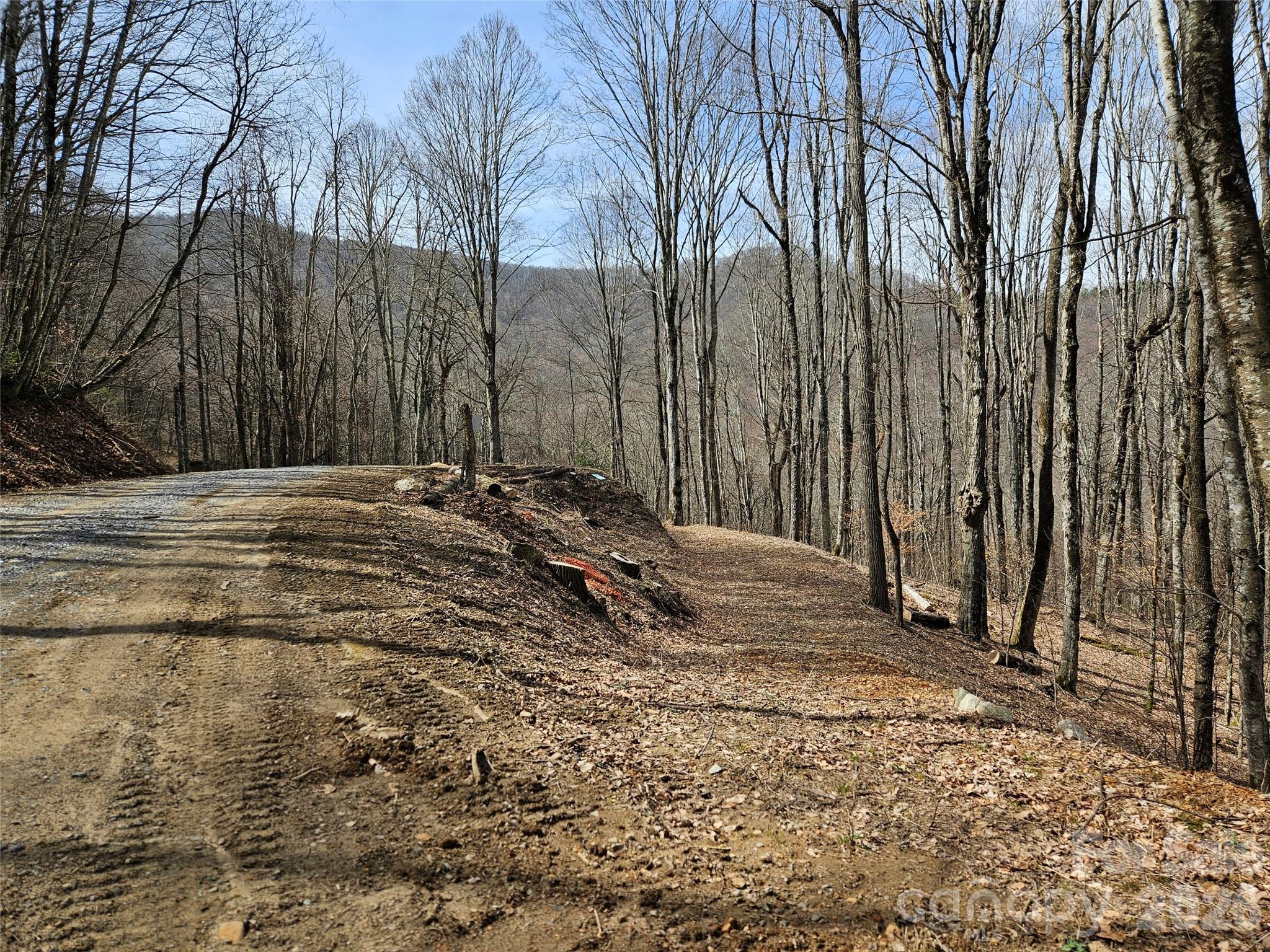 Lot at 000 Forbidden Cove, Waynesville, photo 11 of 17