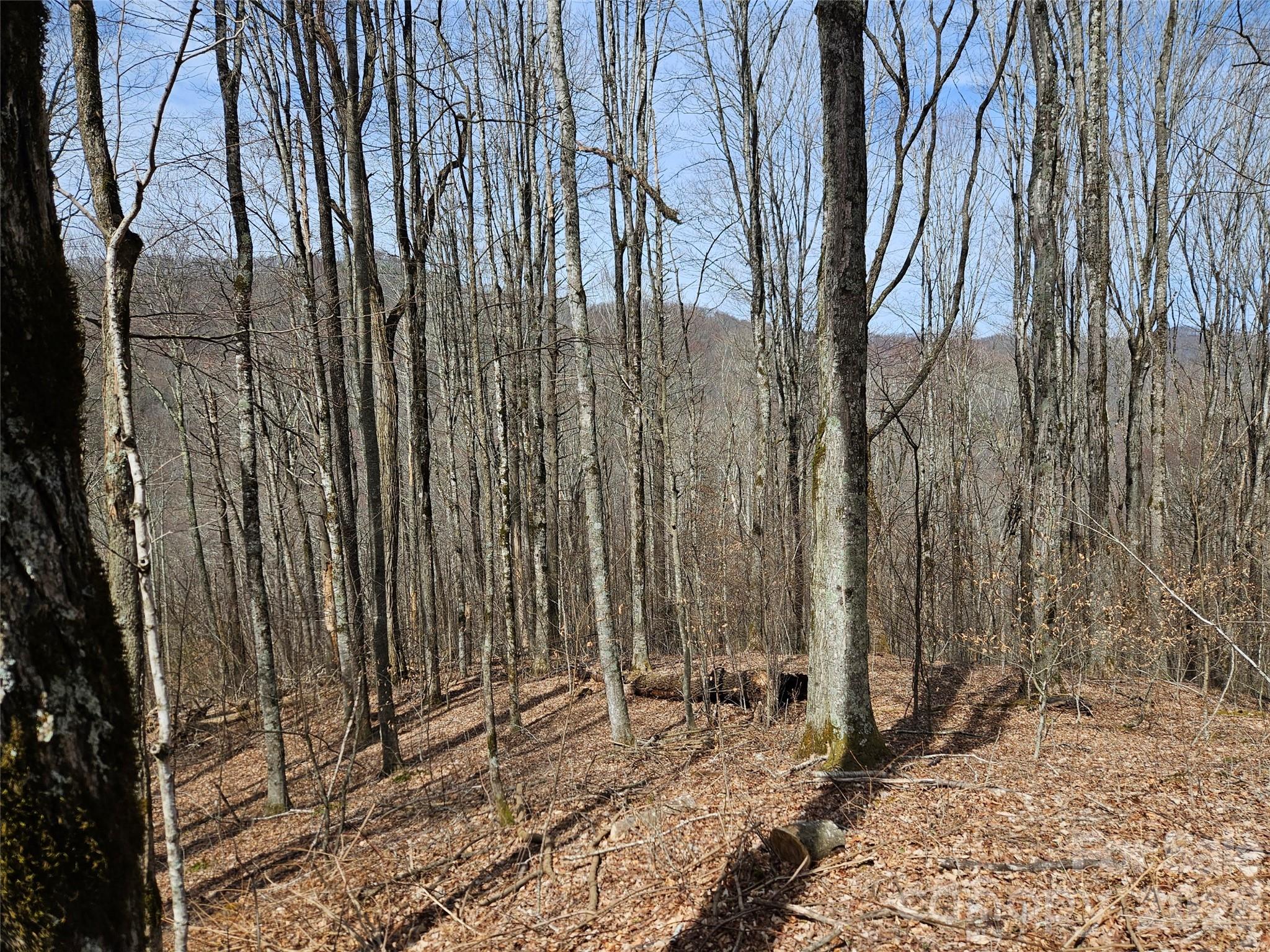 Lot at 000 Forbidden Cove, Waynesville, photo 13 of 17