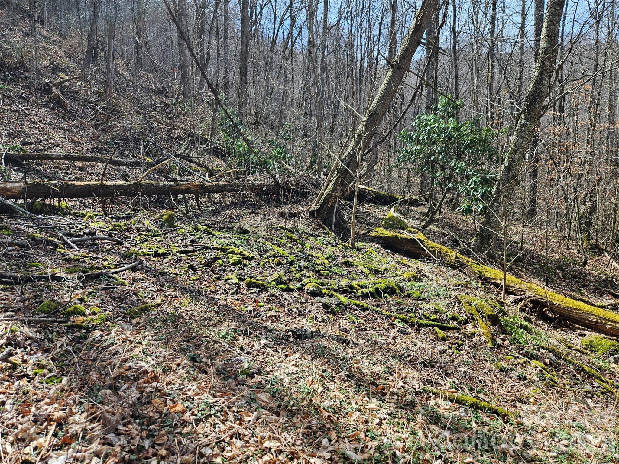 Lot at 000 Forbidden Cove, Waynesville, photo 14 of 17