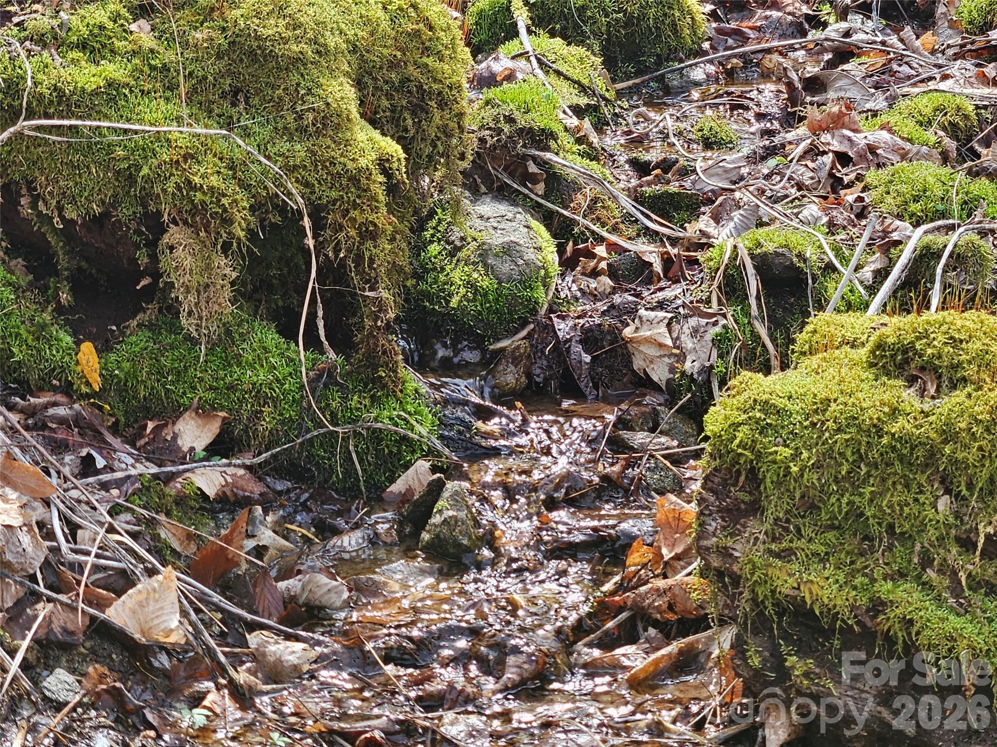 Lot at 000 Forbidden Cove, Waynesville, photo 15 of 17