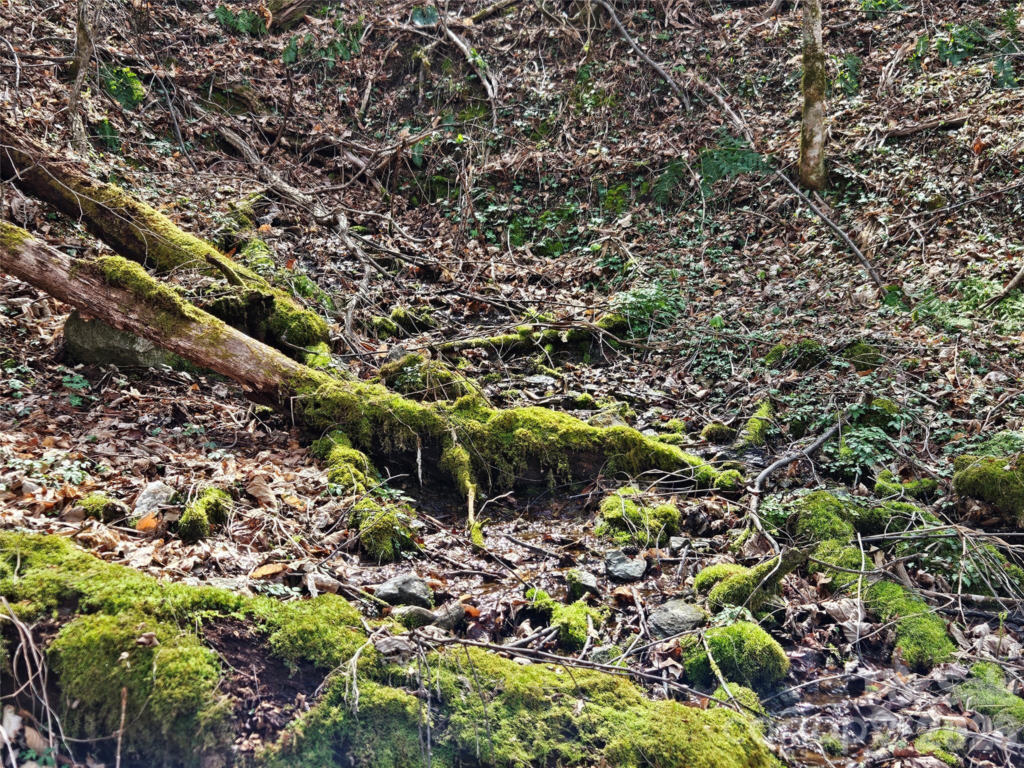 Lot at 000 Forbidden Cove, Waynesville, photo 16 of 17