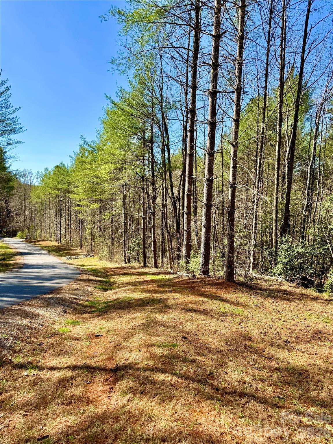 Lot at 6129 Painted Ridge Trail, Lenoir, photo 3 of 39
