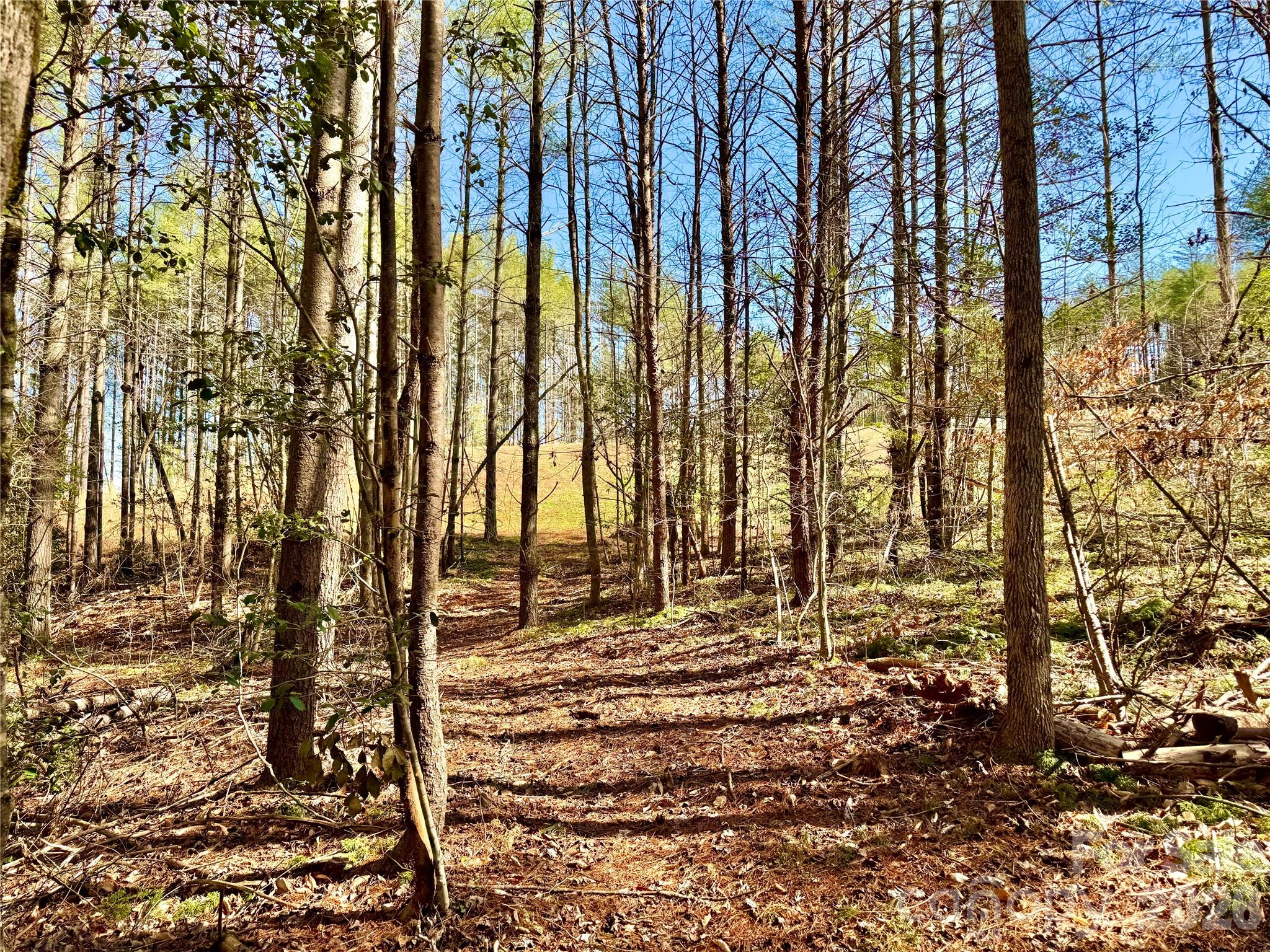 Lot at 6129 Painted Ridge Trail, Lenoir, photo 4 of 39