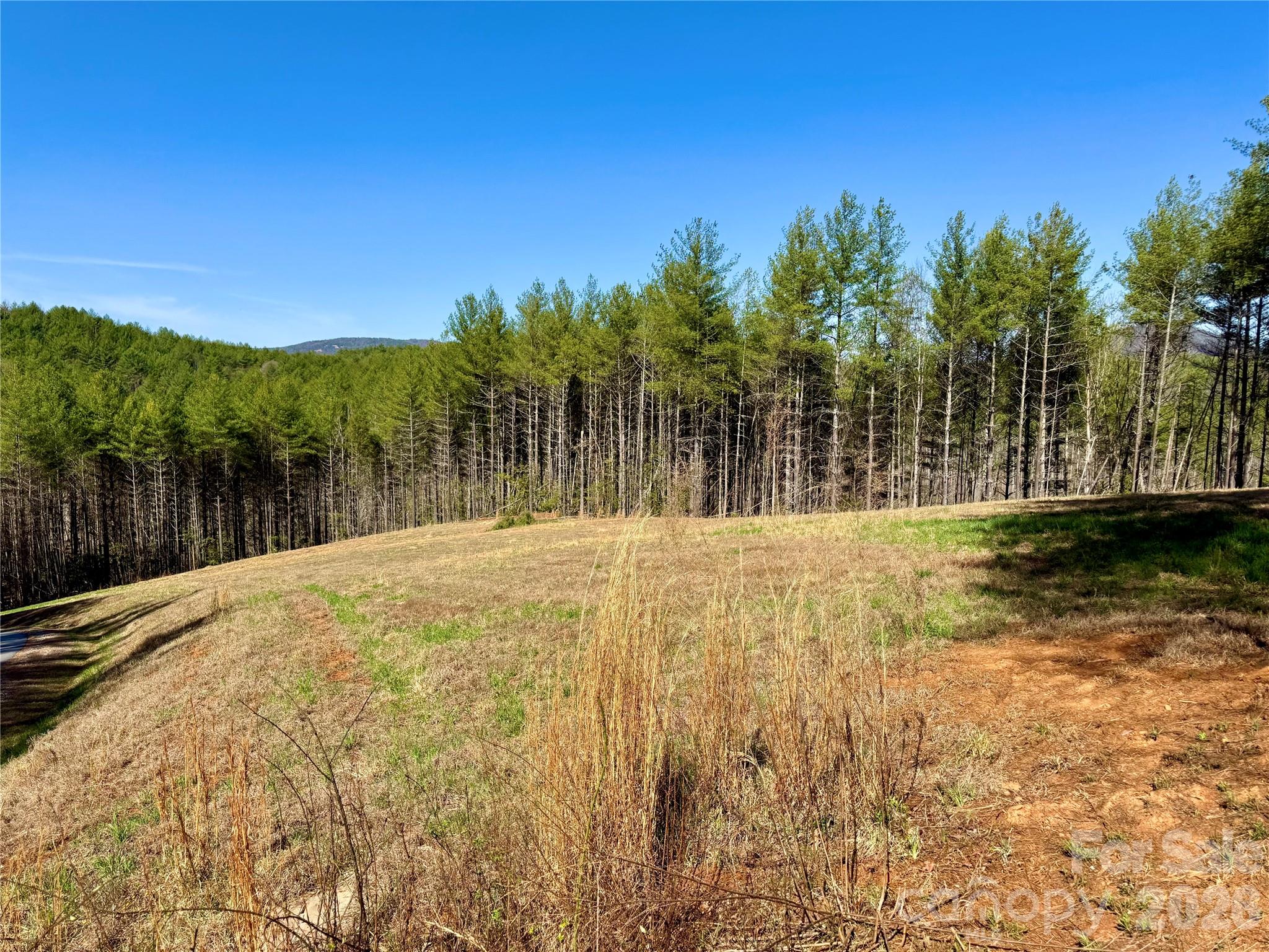 Lot at 6129 Painted Ridge Trail, Lenoir, photo 8 of 39