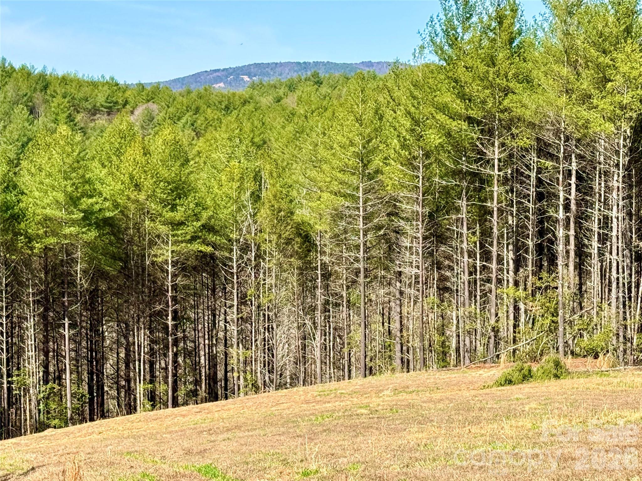 Lot at 6129 Painted Ridge Trail, Lenoir, photo 9 of 39
