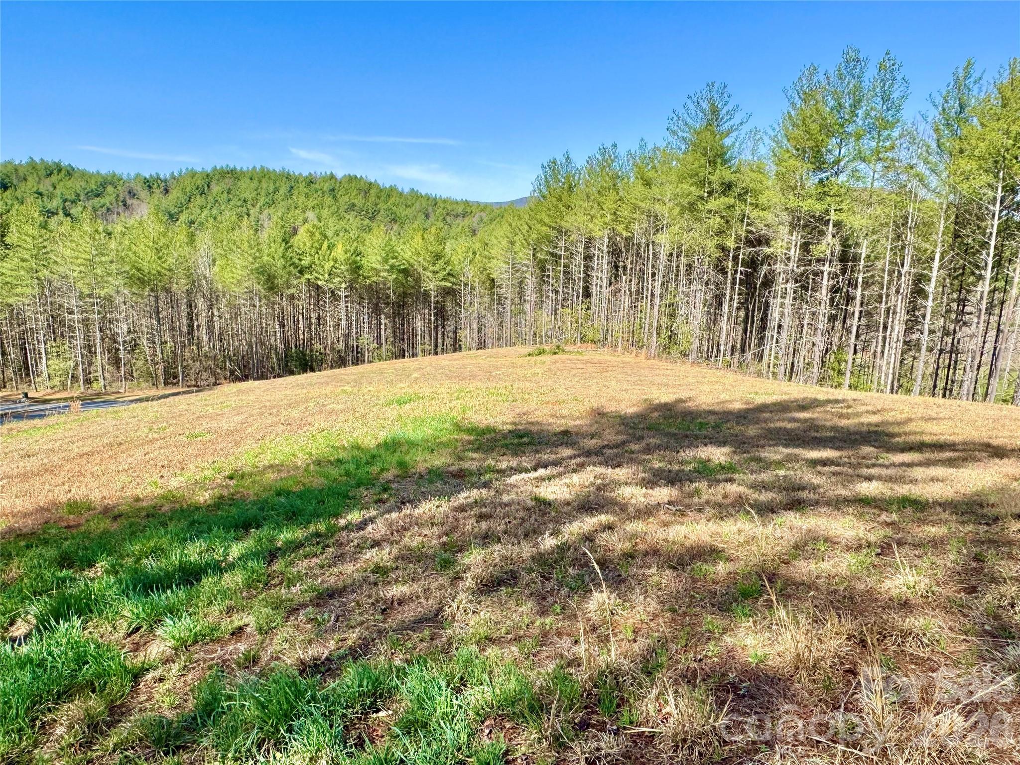 Lot at 6129 Painted Ridge Trail, Lenoir, photo 10 of 39