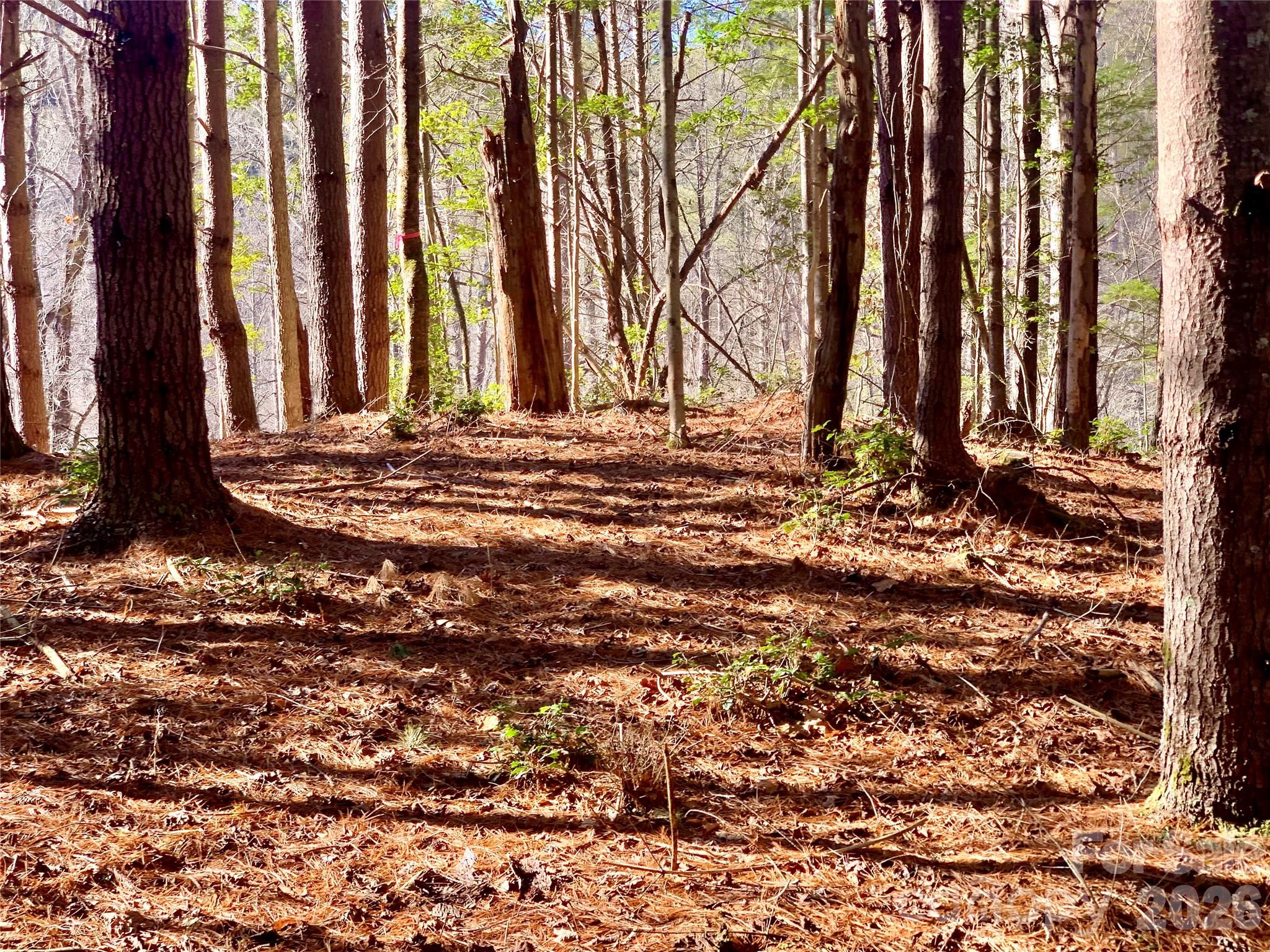 Lot at 6129 Painted Ridge Trail, Lenoir, photo 11 of 39