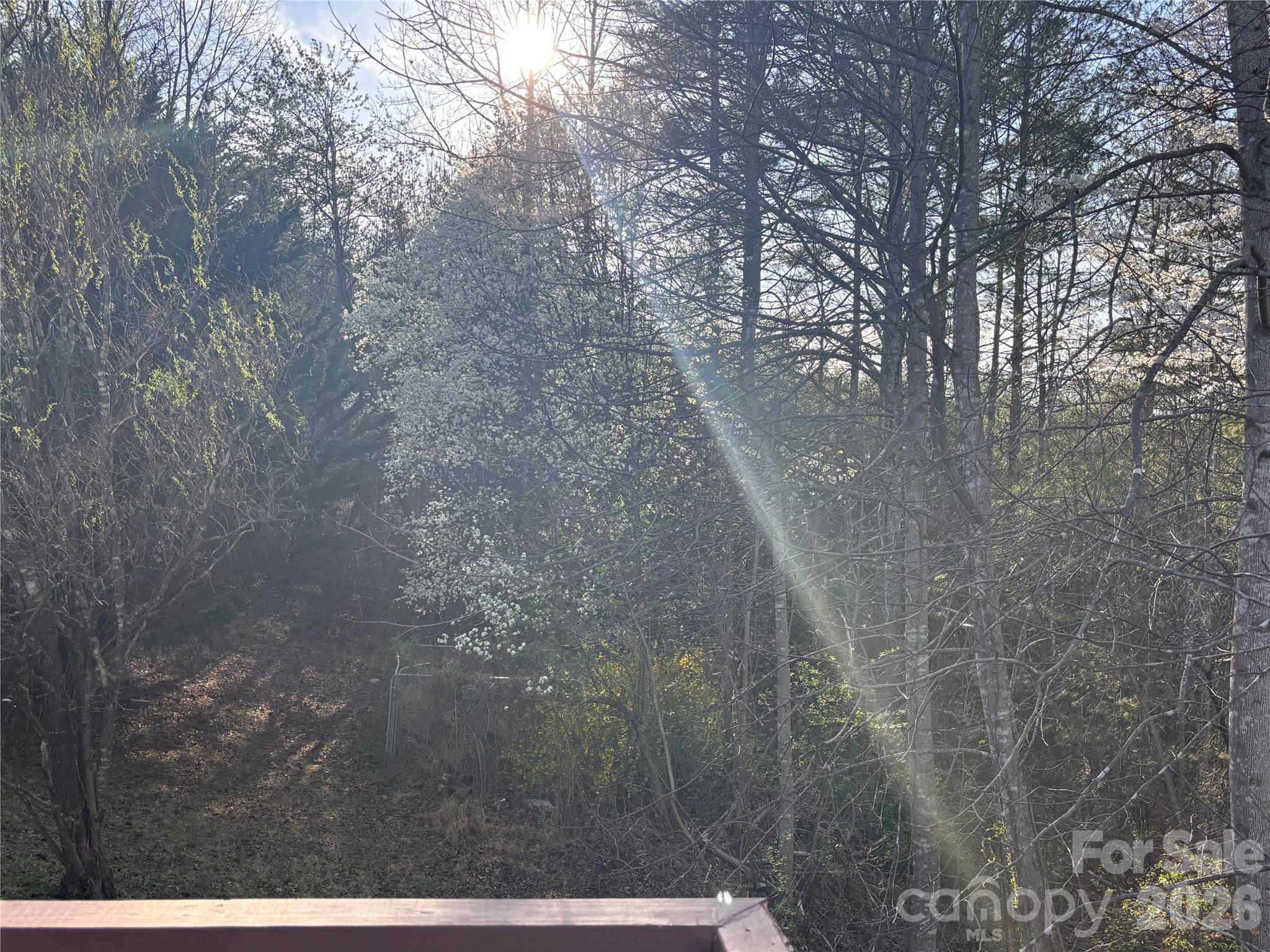 Quiet and serene! - 5164 Ralph Winchester Road, Lenoir