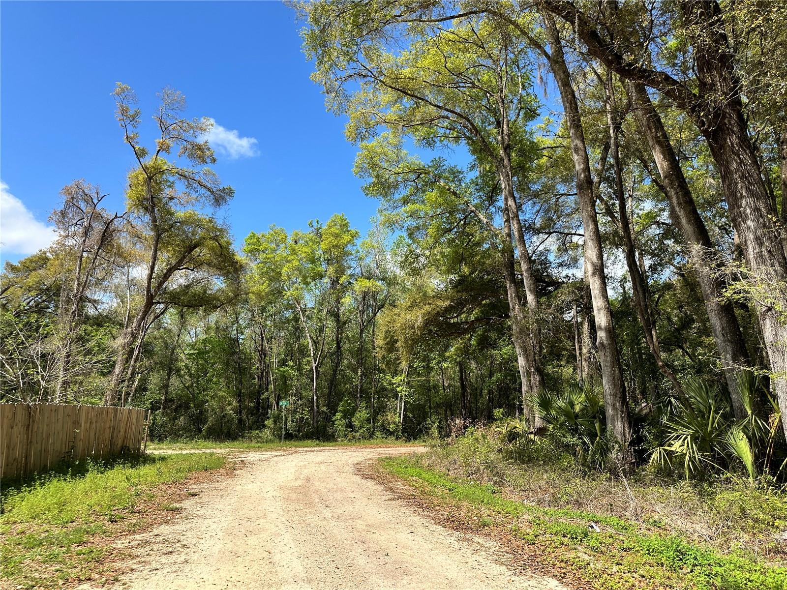 Land at TBD SW 5TH LN, OCALA, photo 2 of 15