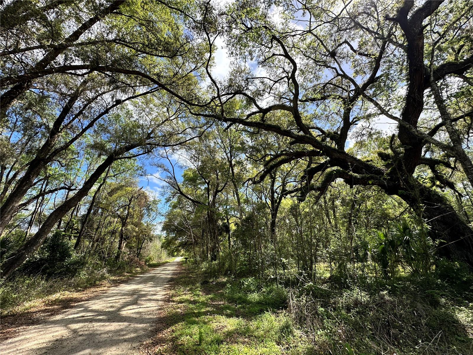 Land at TBD SW 5TH LN, OCALA, photo 3 of 15