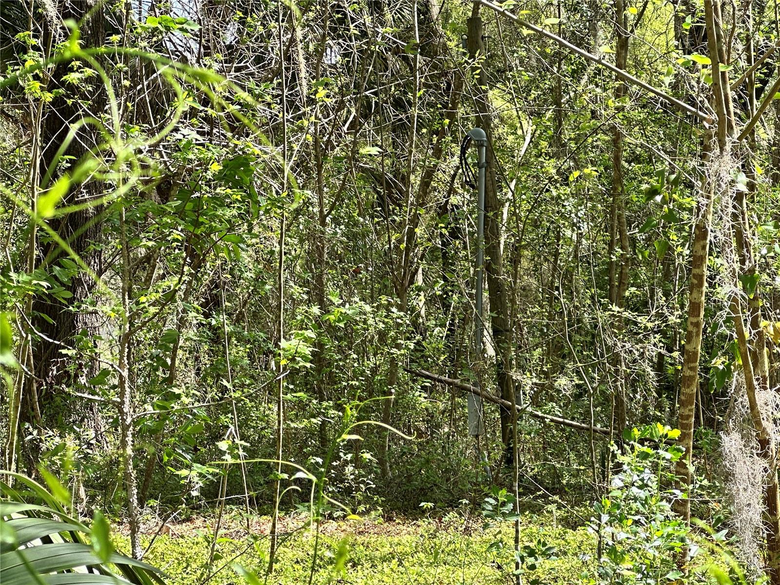 Land at TBD SW 5TH LN, OCALA, photo 11 of 15