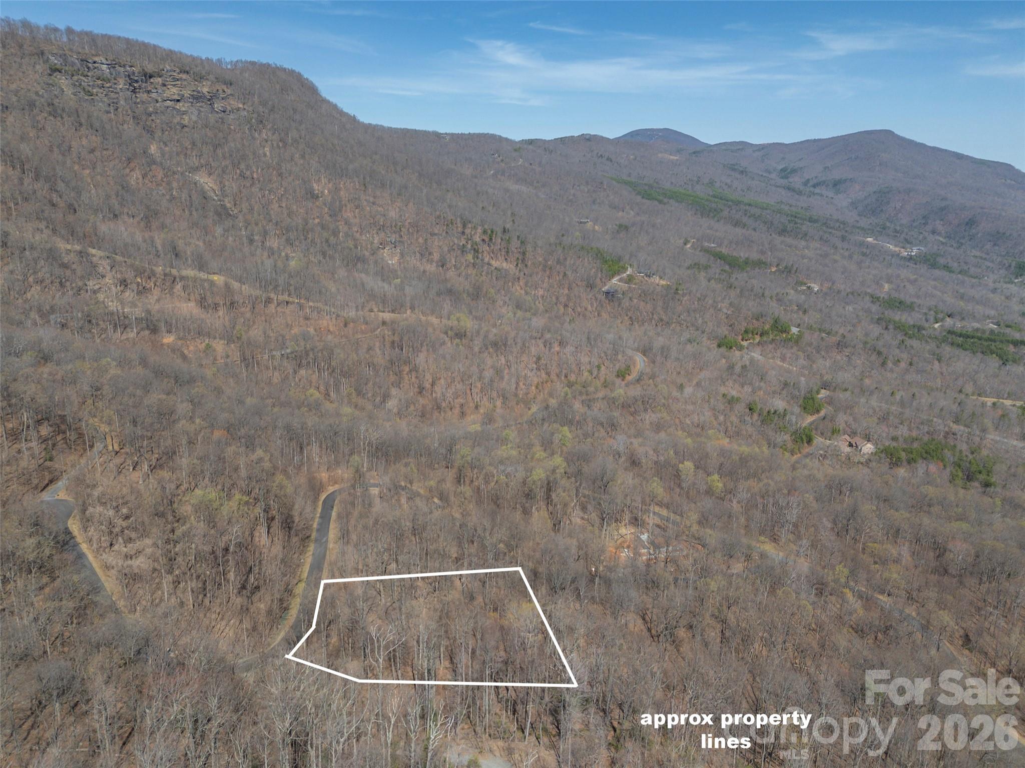 Lot at Lot 2130 Weaverly Lane, Mill Spring, photo 3 of 37