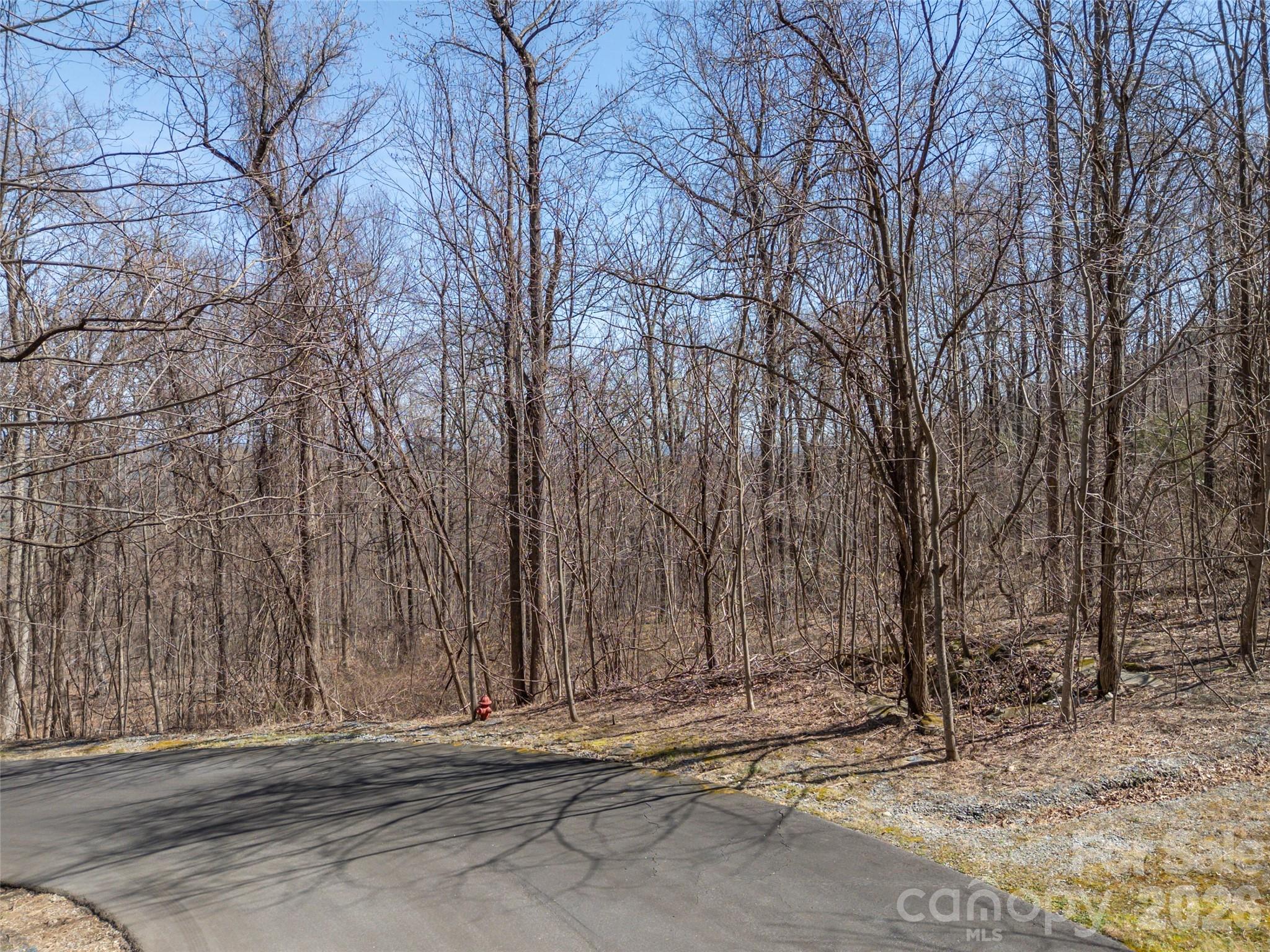 Lot at Lot 2130 Weaverly Lane, Mill Spring, photo 4 of 37