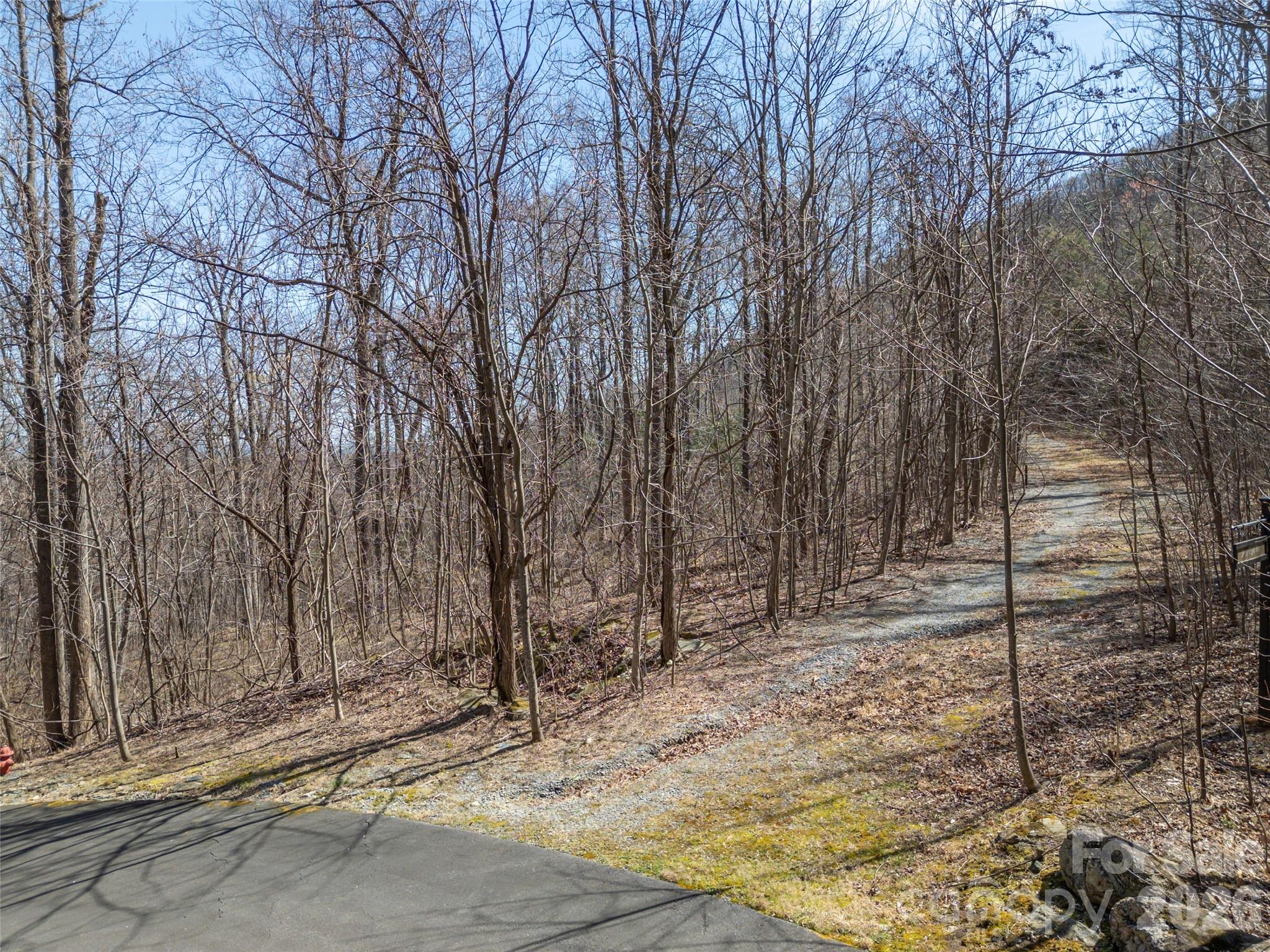Lot at Lot 2130 Weaverly Lane, Mill Spring, photo 5 of 37