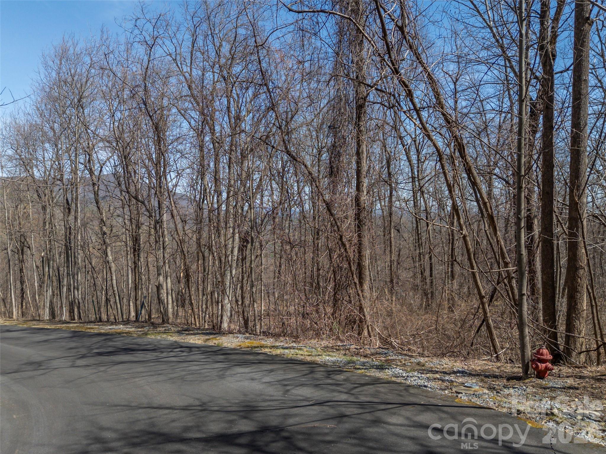 Lot at Lot 2130 Weaverly Lane, Mill Spring, photo 6 of 37