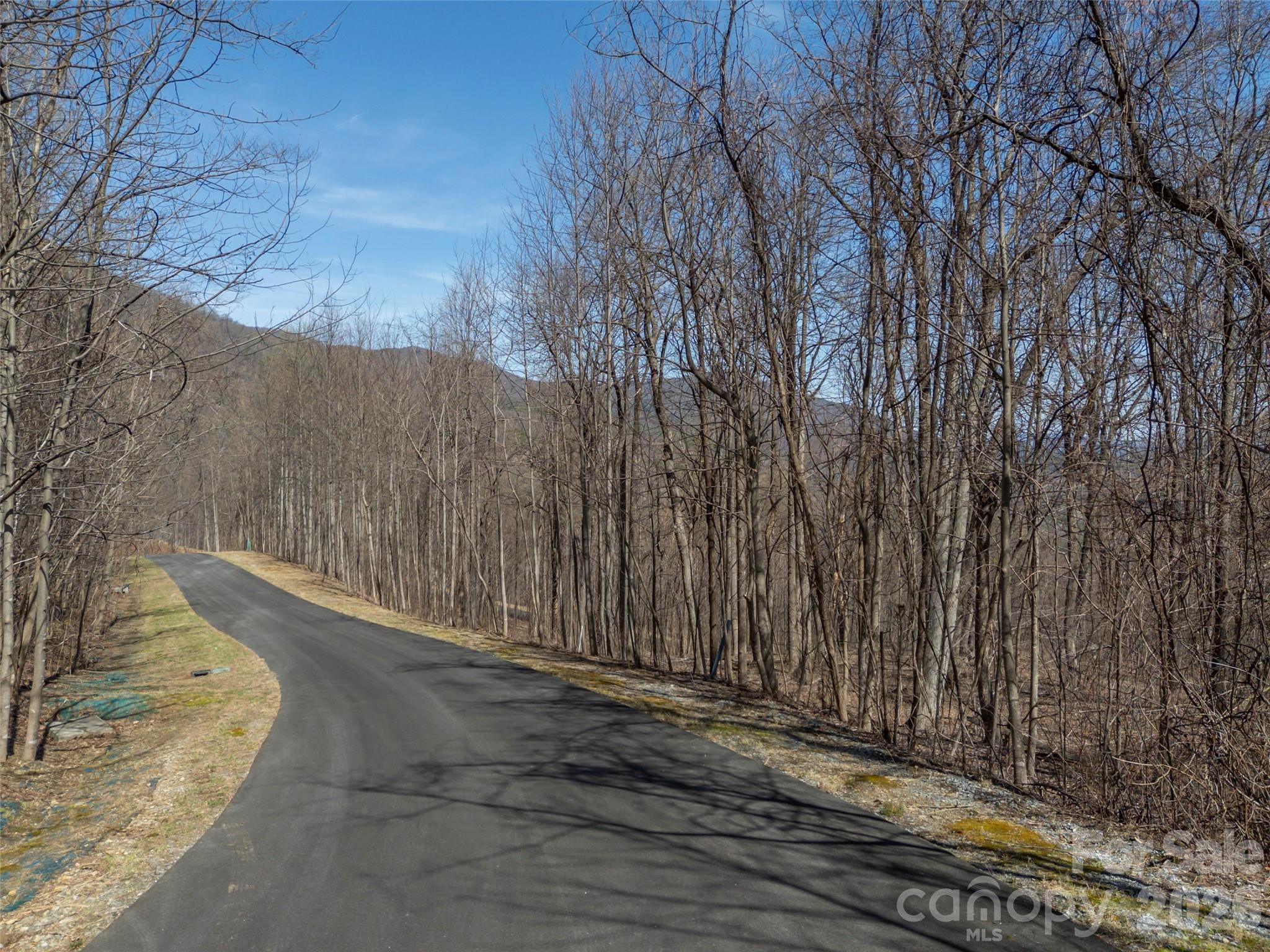 Lot at Lot 2130 Weaverly Lane, Mill Spring, photo 7 of 37