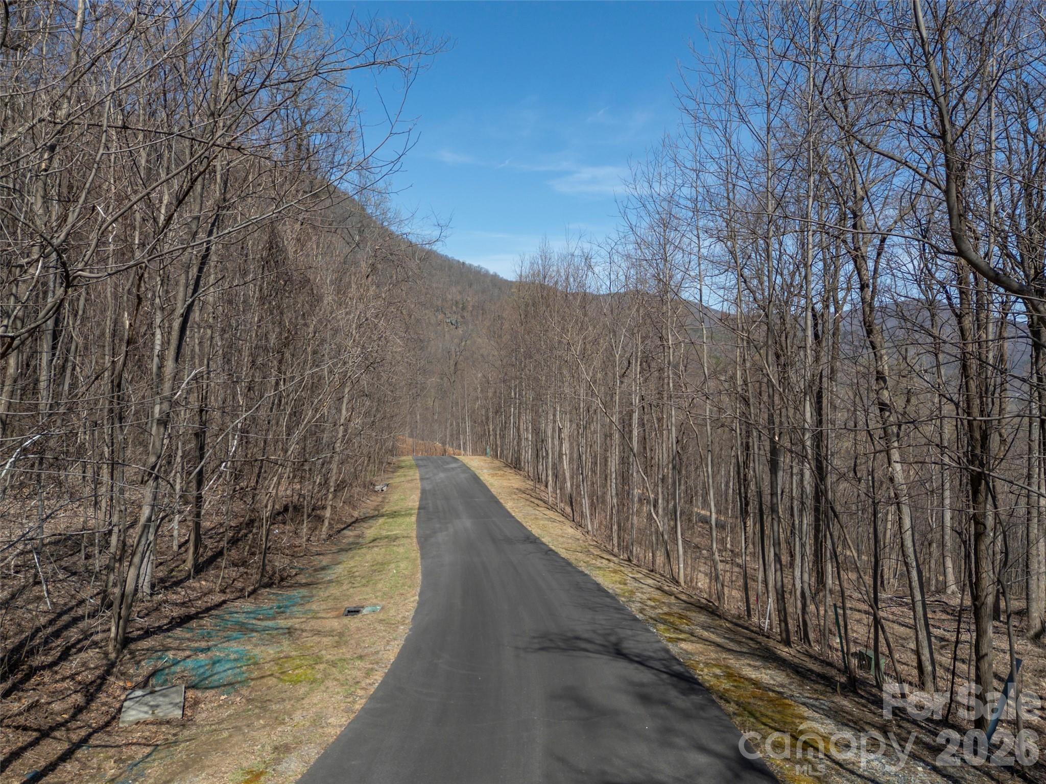 Lot at Lot 2130 Weaverly Lane, Mill Spring, photo 8 of 37