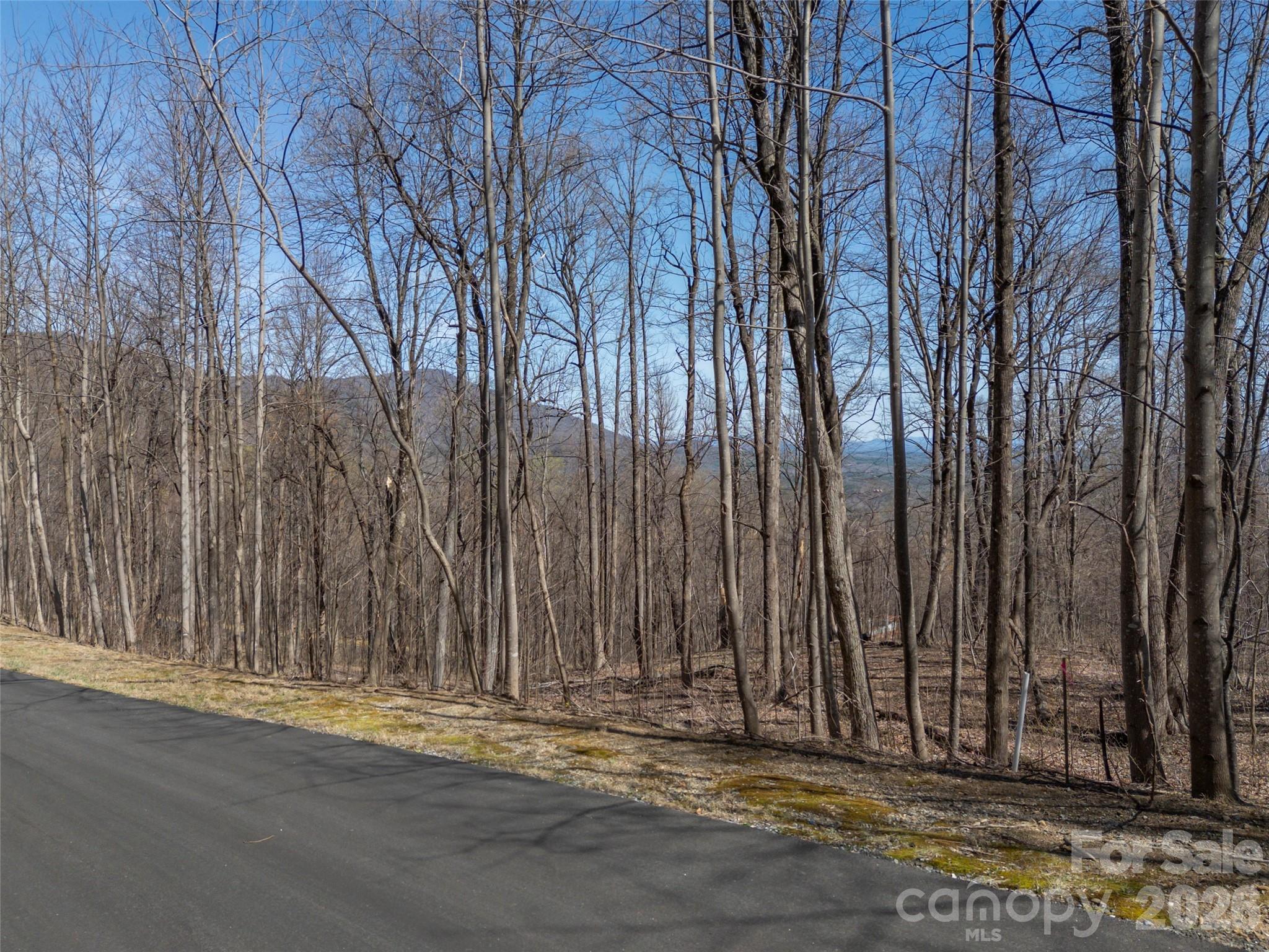 Lot at Lot 2130 Weaverly Lane, Mill Spring, photo 9 of 37