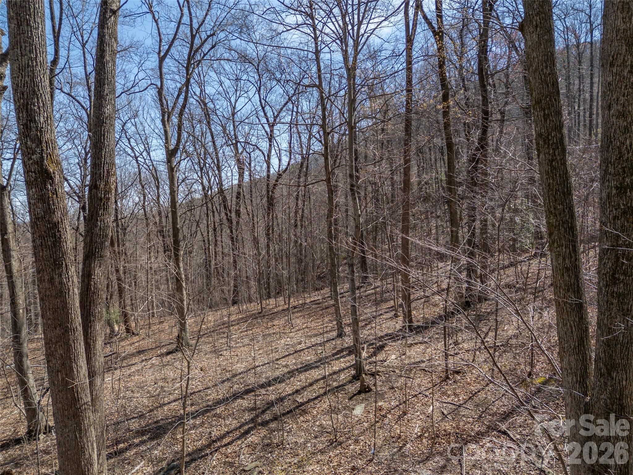 Lot at Lot 2130 Weaverly Lane, Mill Spring, photo 10 of 37