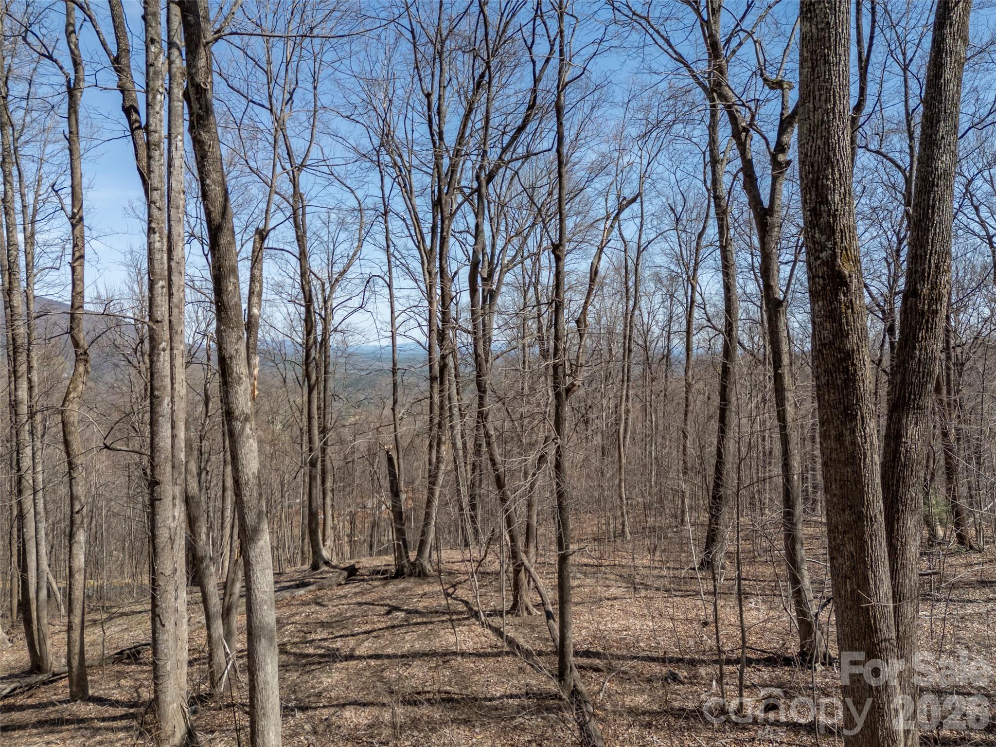 Lot at Lot 2130 Weaverly Lane, Mill Spring, photo 11 of 37