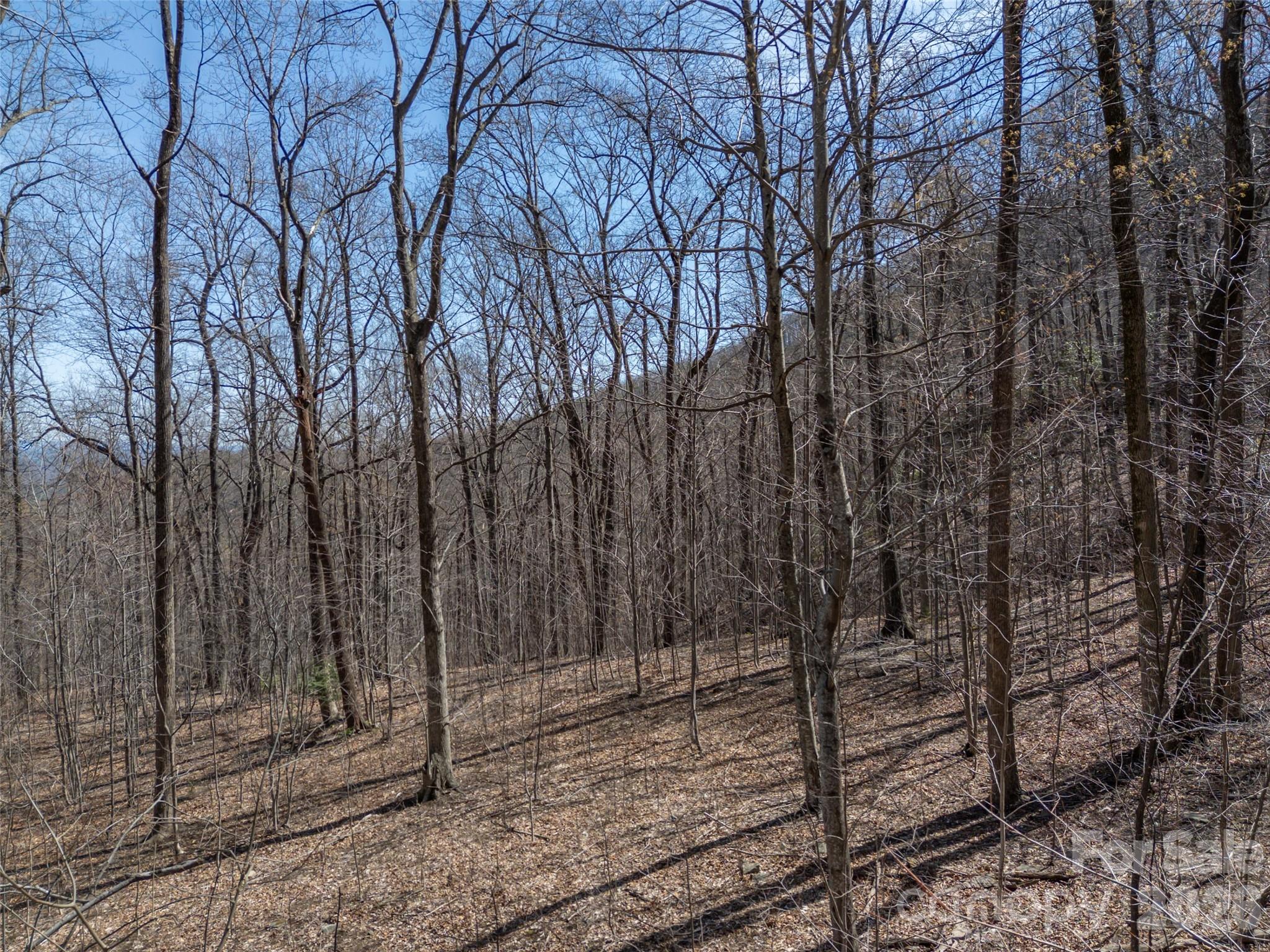 Lot at Lot 2130 Weaverly Lane, Mill Spring, photo 13 of 37