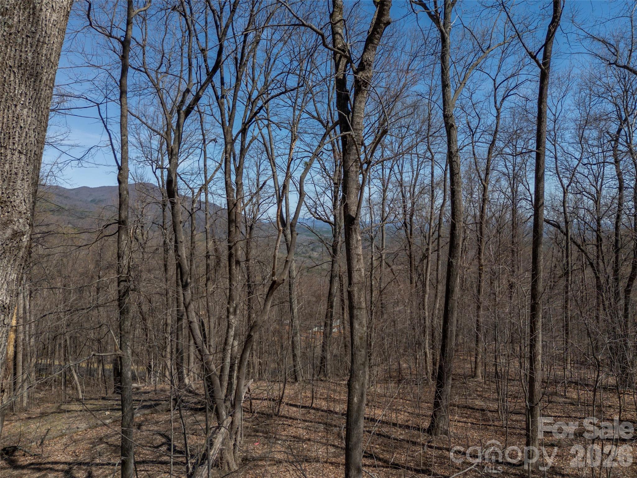 Lot at Lot 2130 Weaverly Lane, Mill Spring, photo 14 of 37