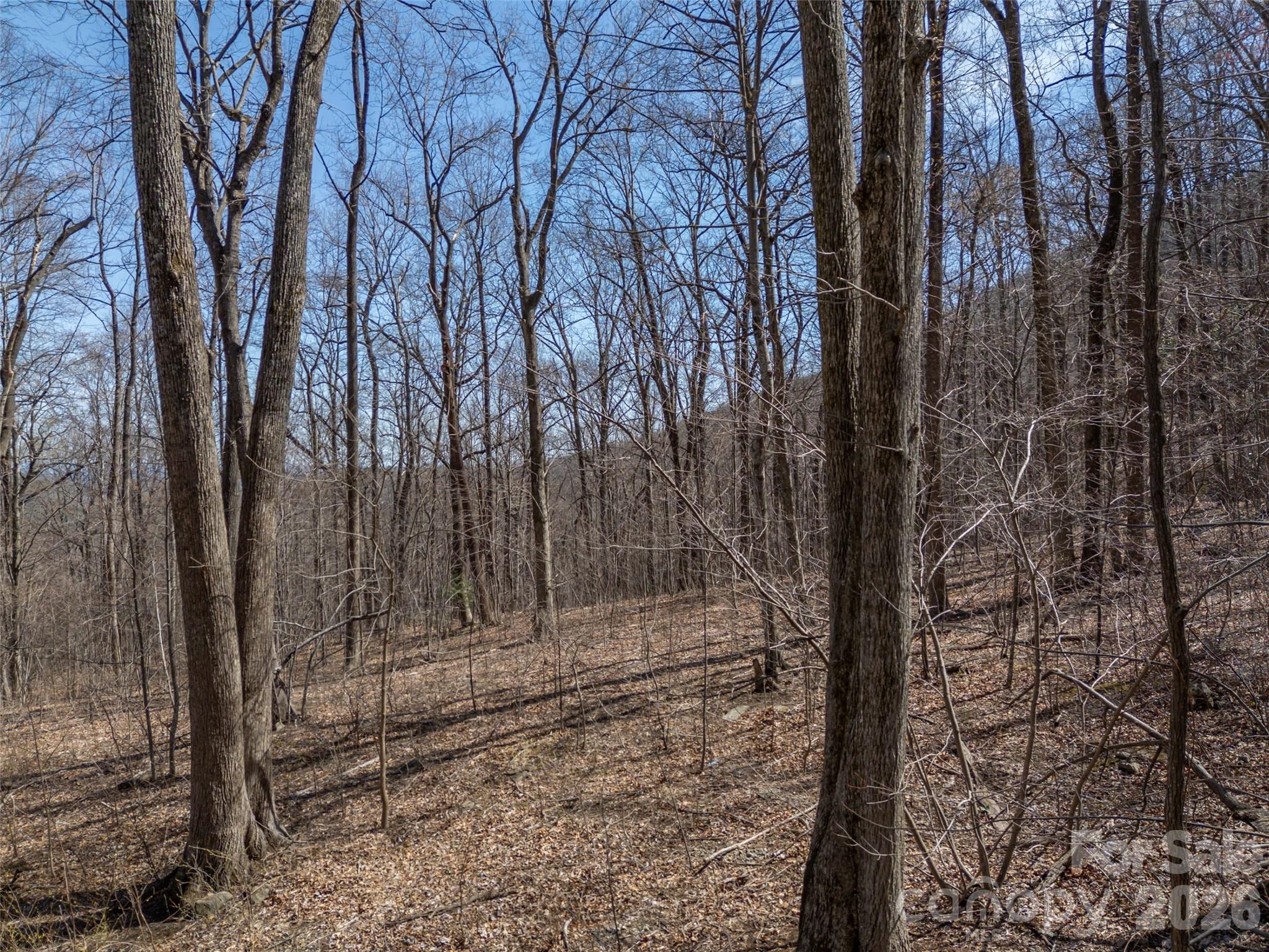 Lot at Lot 2130 Weaverly Lane, Mill Spring, photo 15 of 37