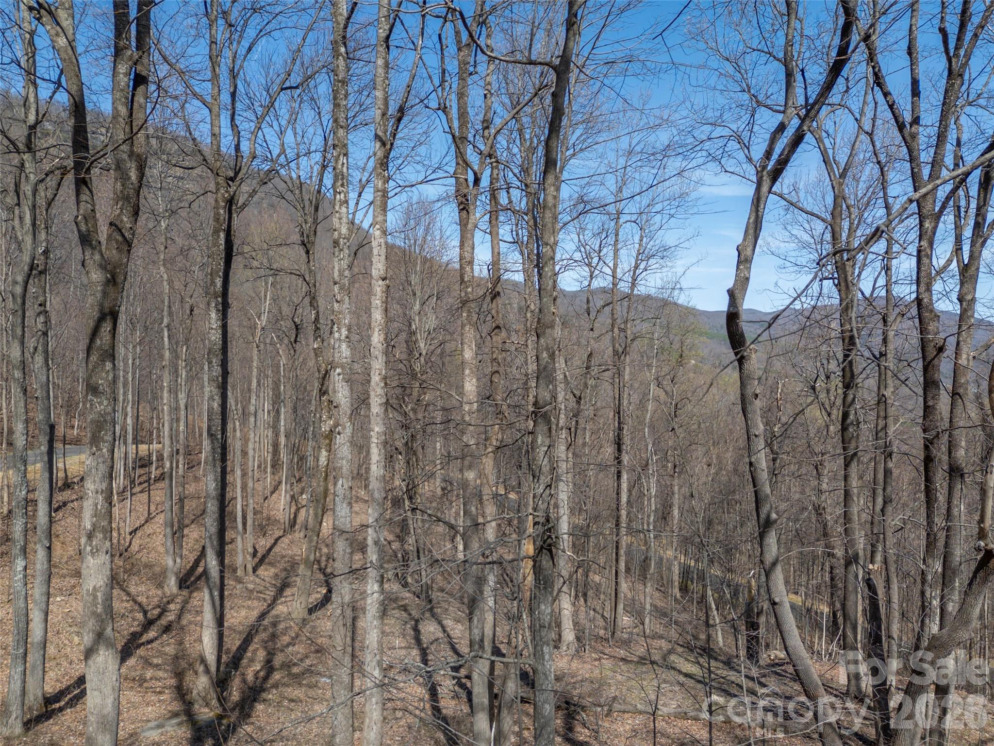 Lot at Lot 2130 Weaverly Lane, Mill Spring, photo 16 of 37