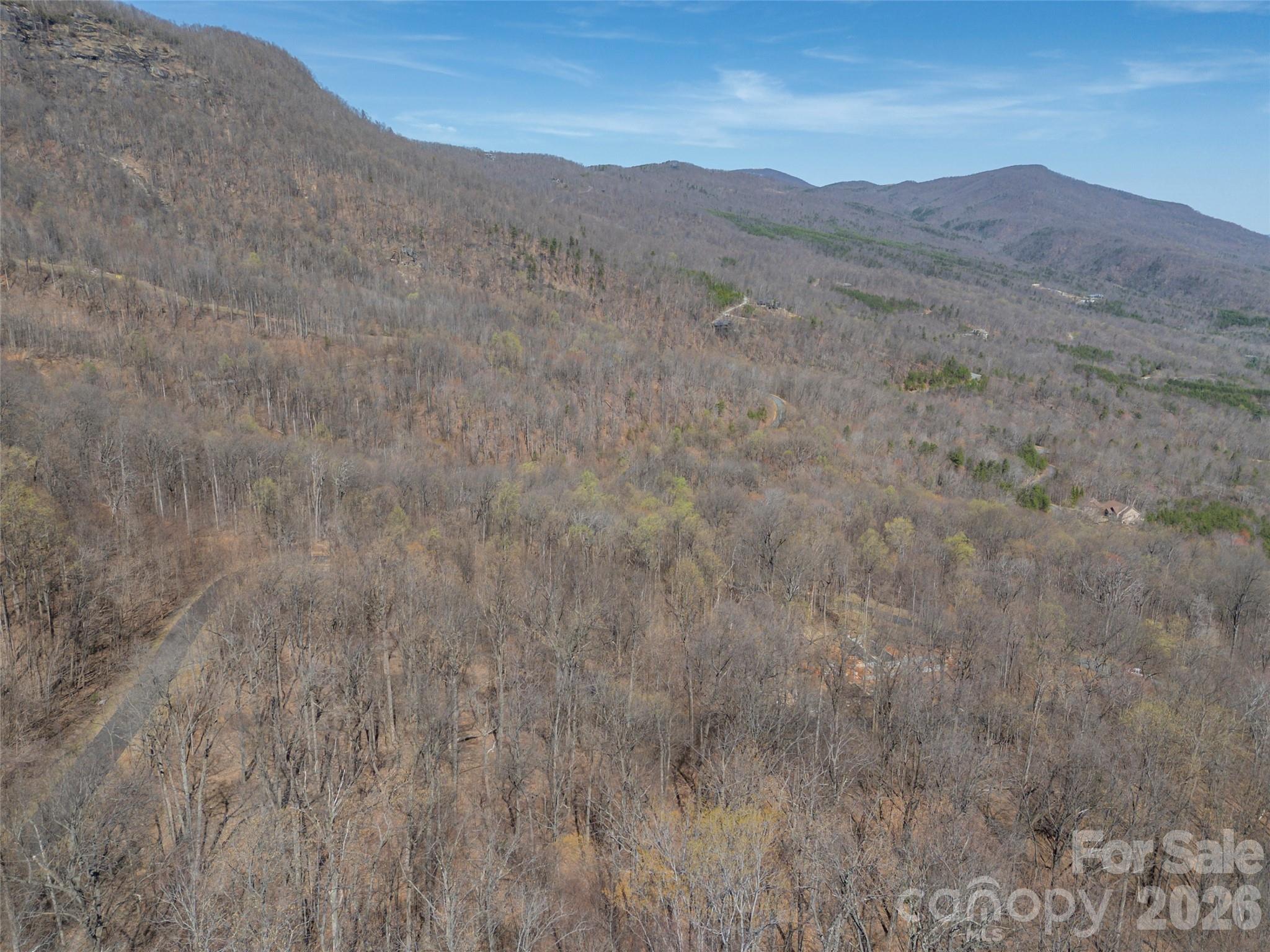 Lot at Lot 2130 Weaverly Lane, Mill Spring, photo 19 of 37